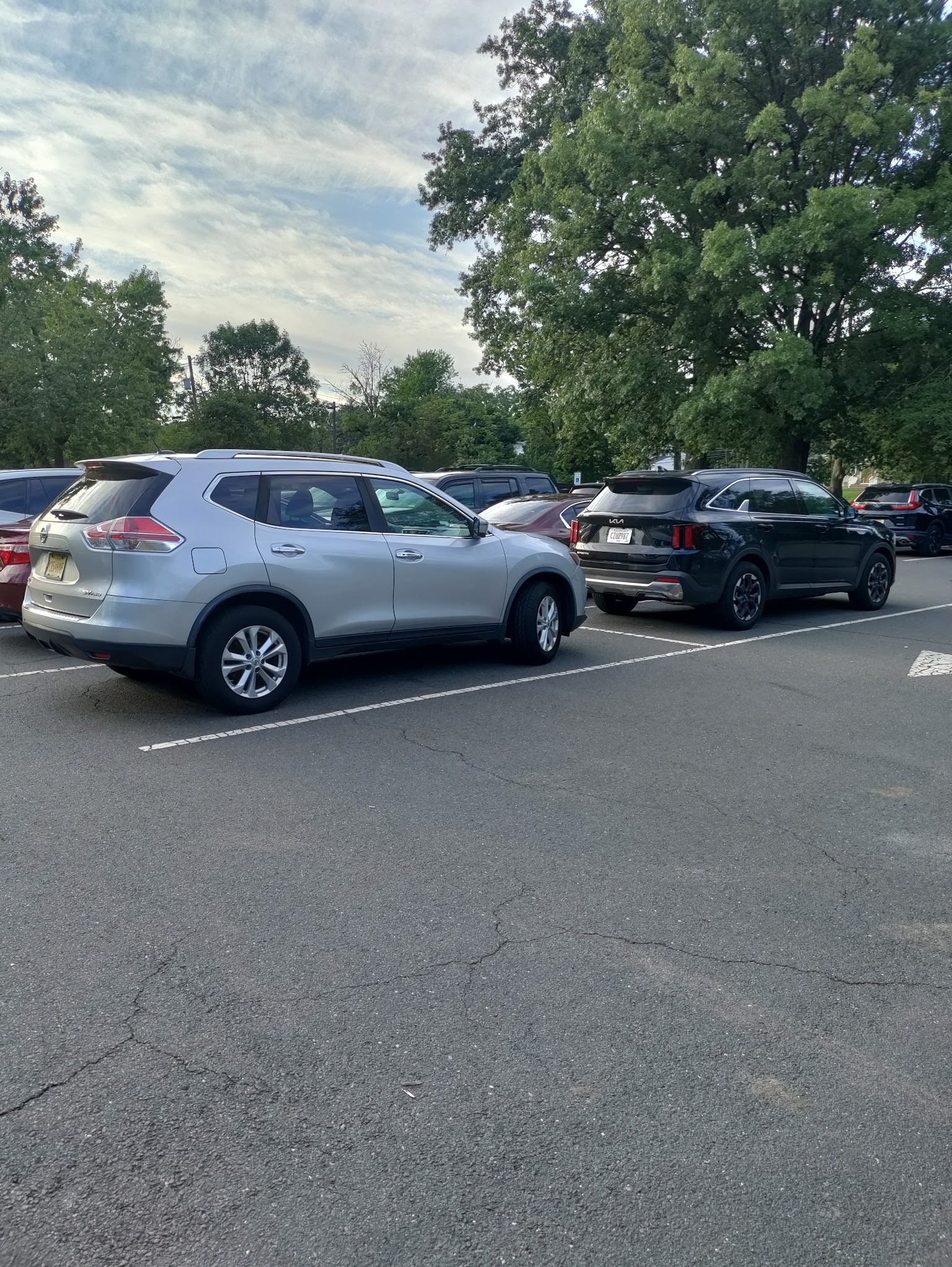 Johnson Park - Grove 2 - Piscataway, NJ