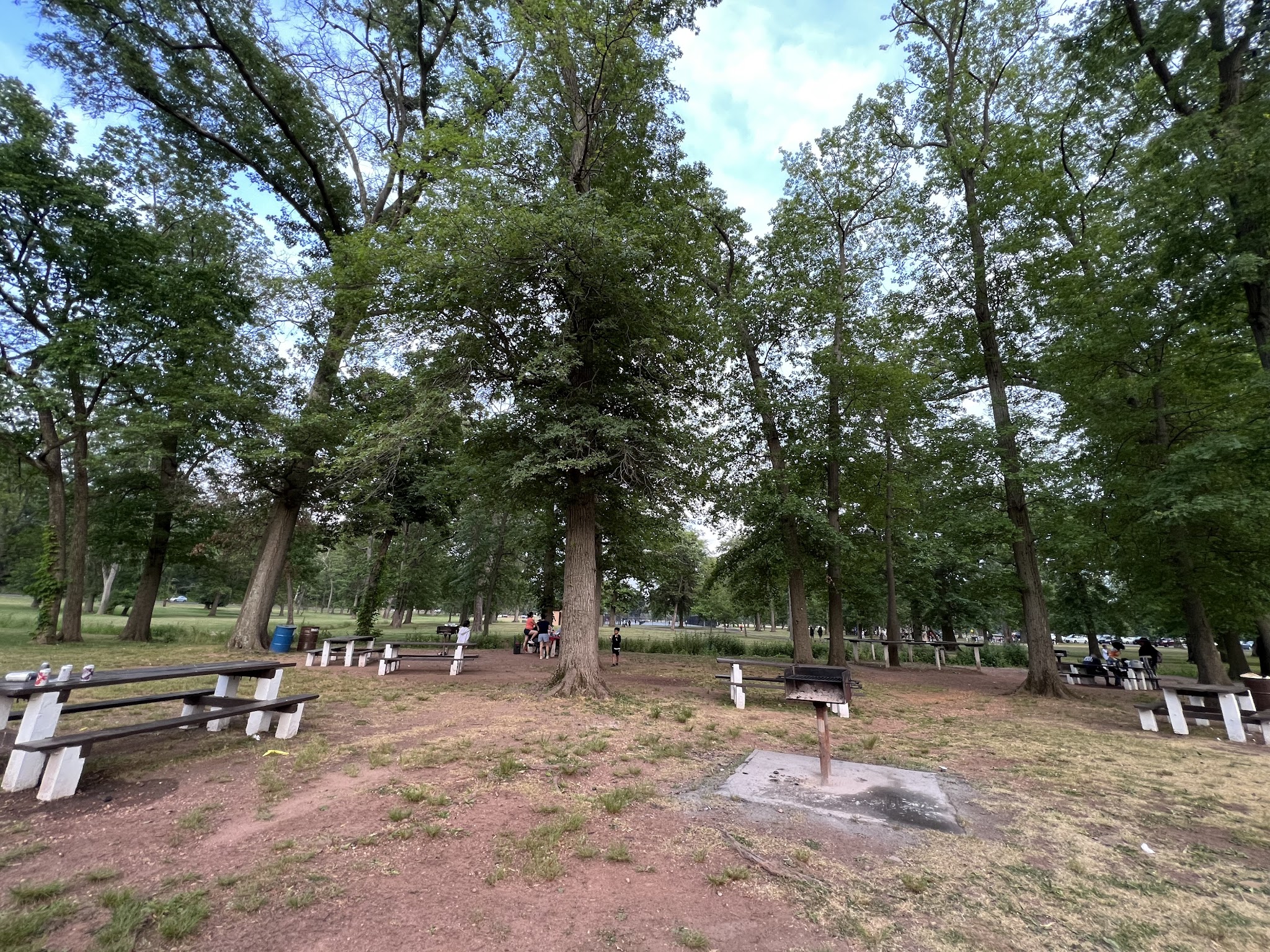 Johnson Park - Grove 2 - Piscataway, NJ