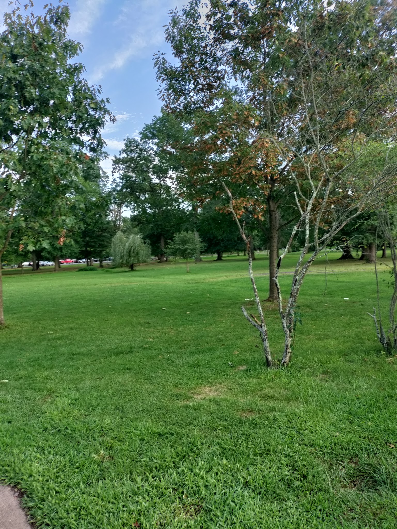 Johnson Park - Grove 2 - Piscataway, NJ