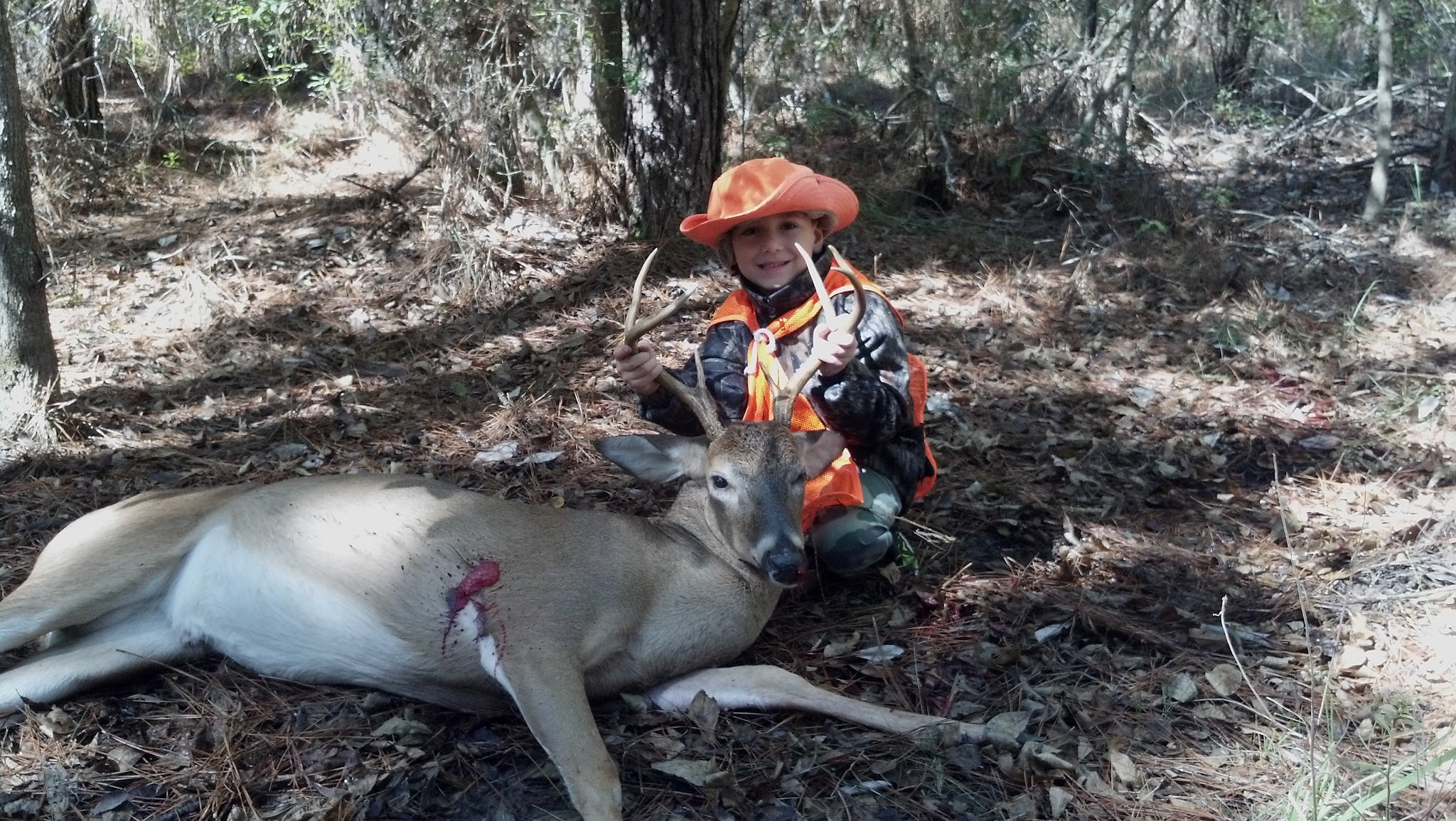 Wolf Bay Campground - Pitkin, LA