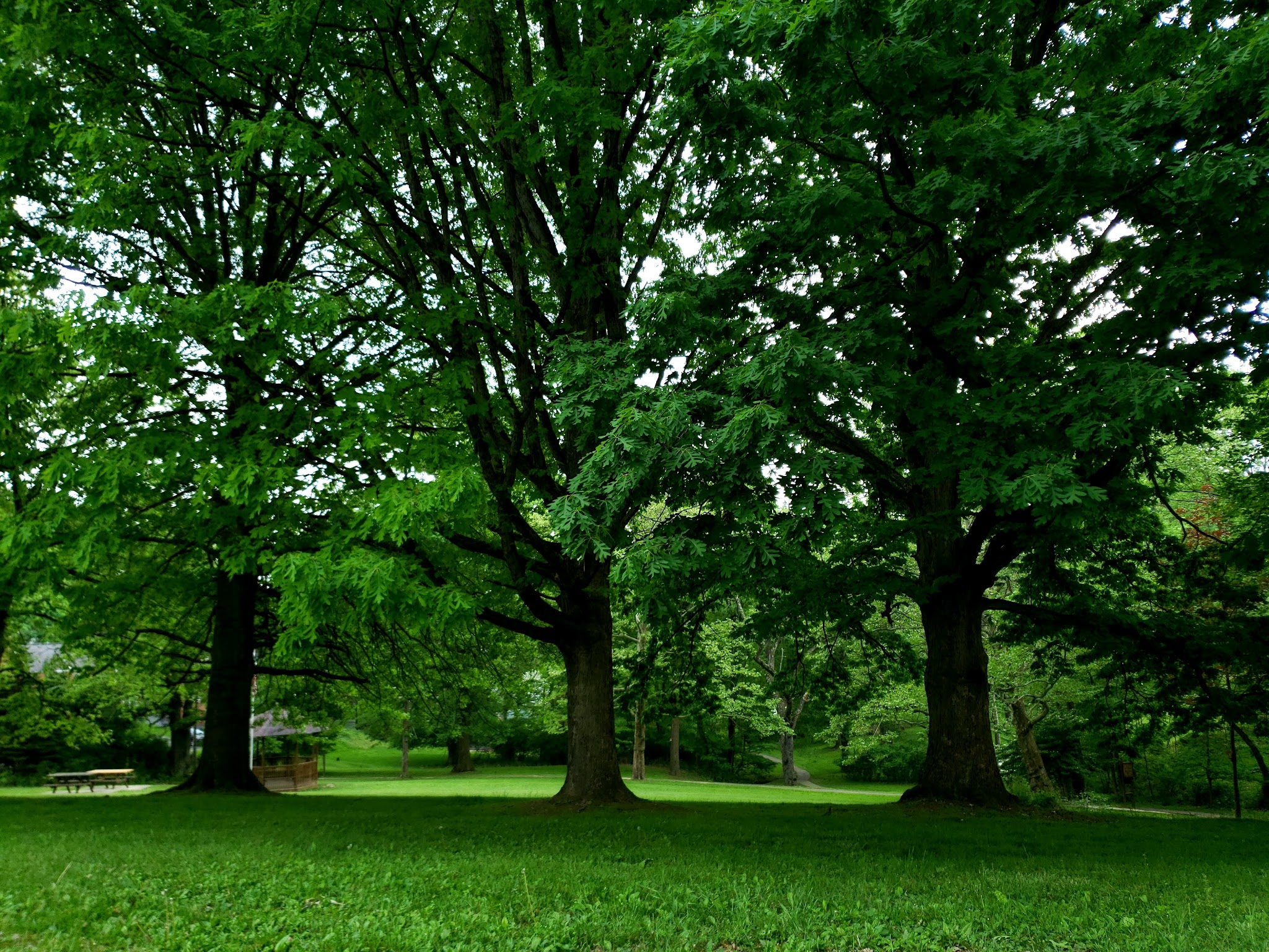 Baldwin Manor Park - Pittsburgh, PA