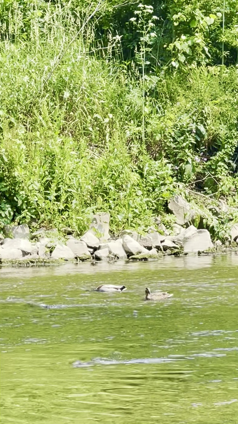 Boyce Mayview Park - Pittsburgh, PA