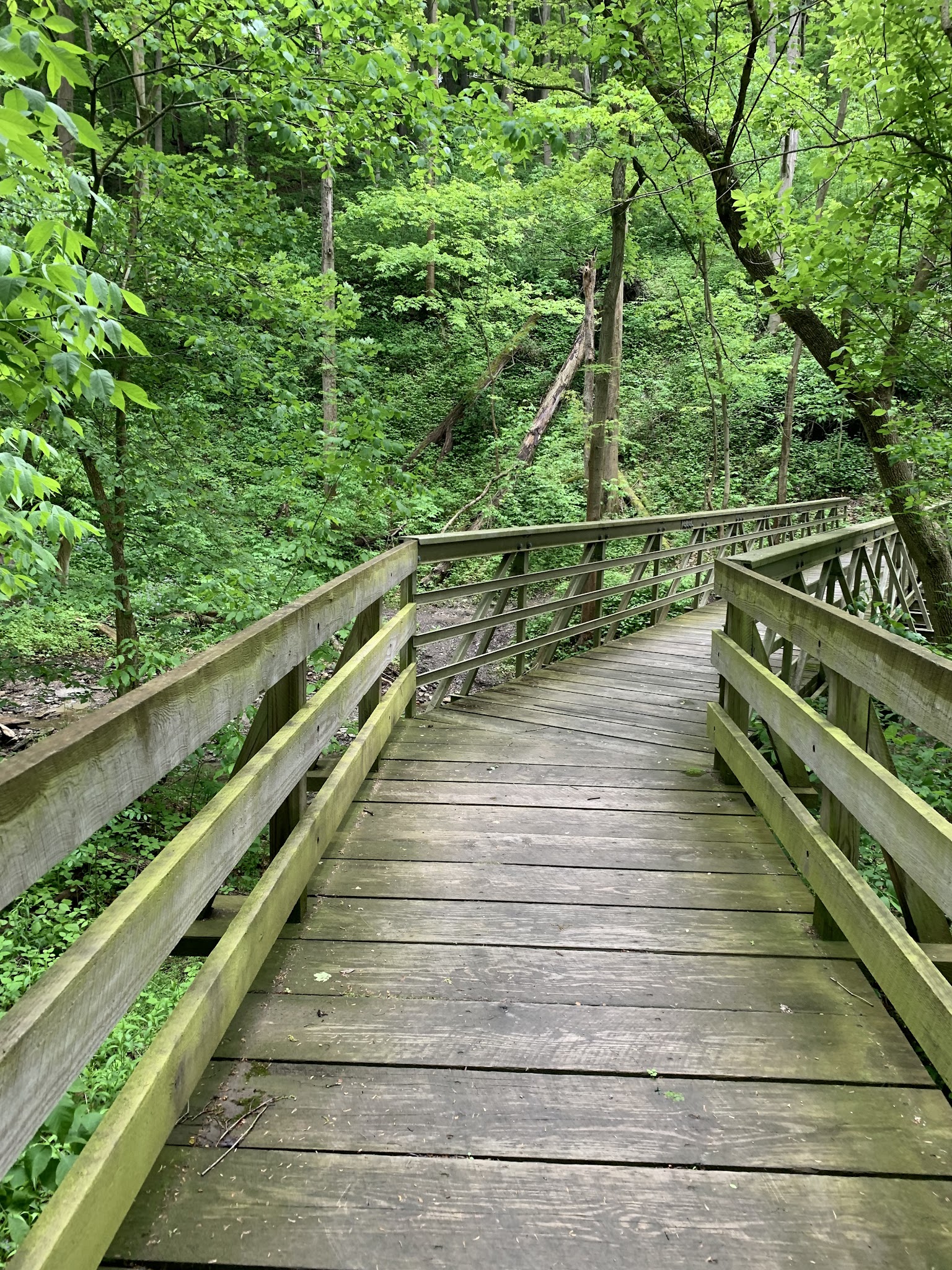 Boyce Mayview Park - Pittsburgh, PA