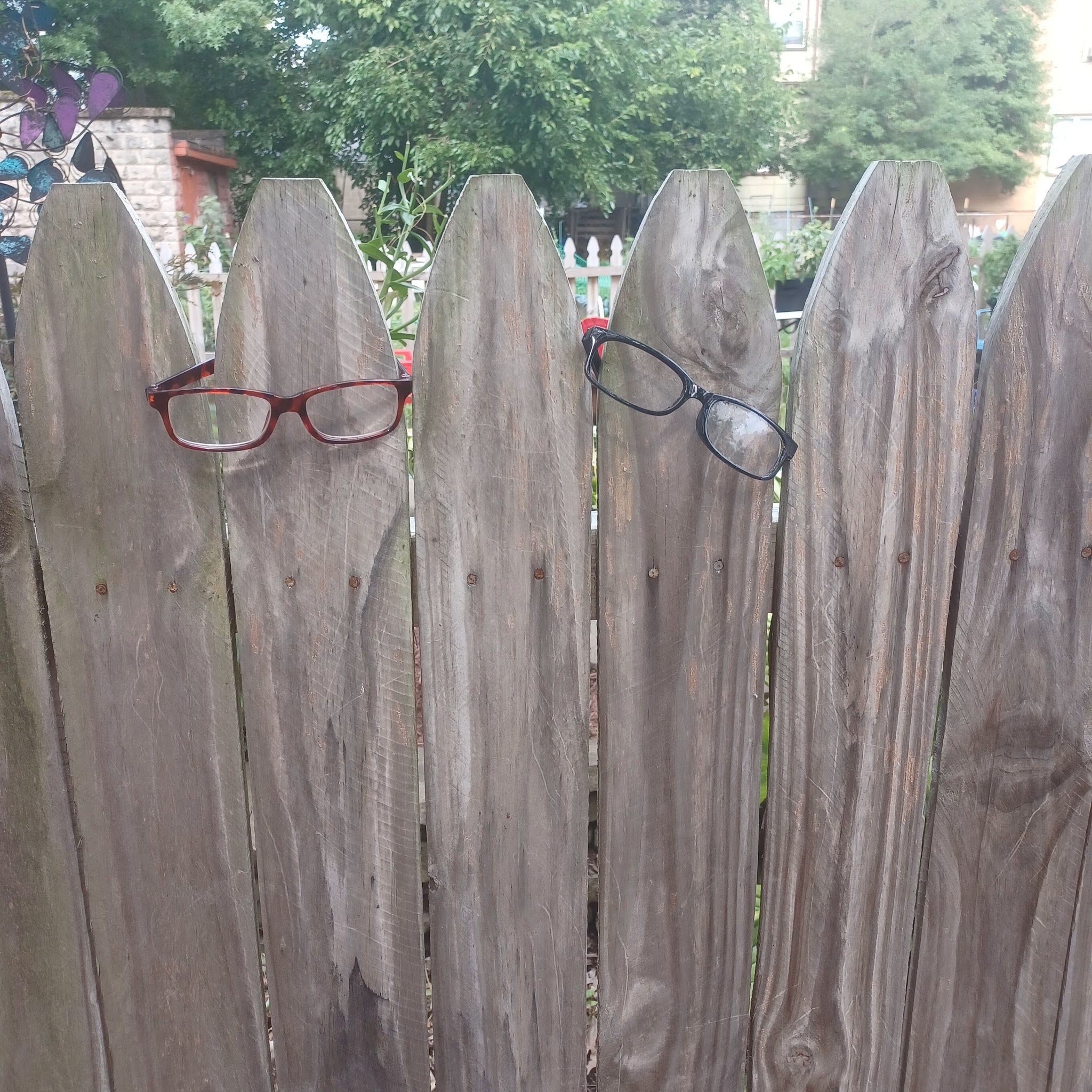 Dog Park - Pittsburgh, PA