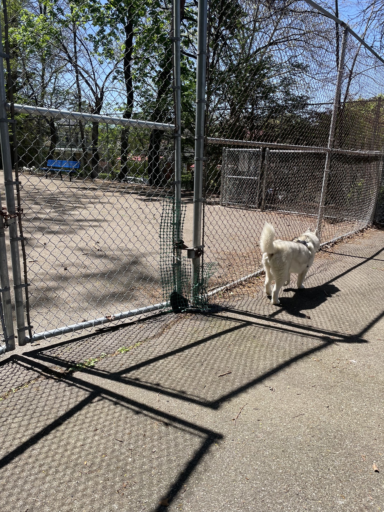 Dormont Dog Park - Pittsburgh, PA