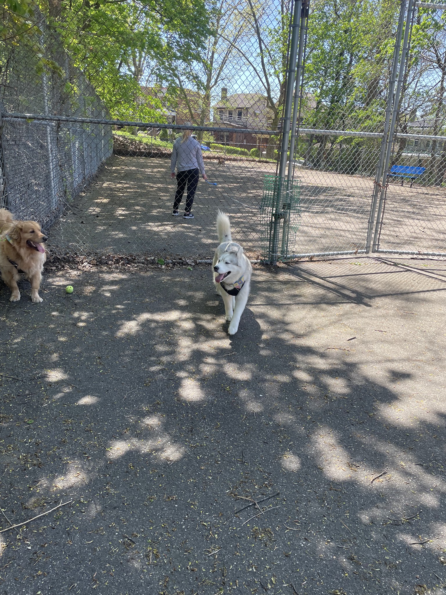Dormont Dog Park - Pittsburgh, PA