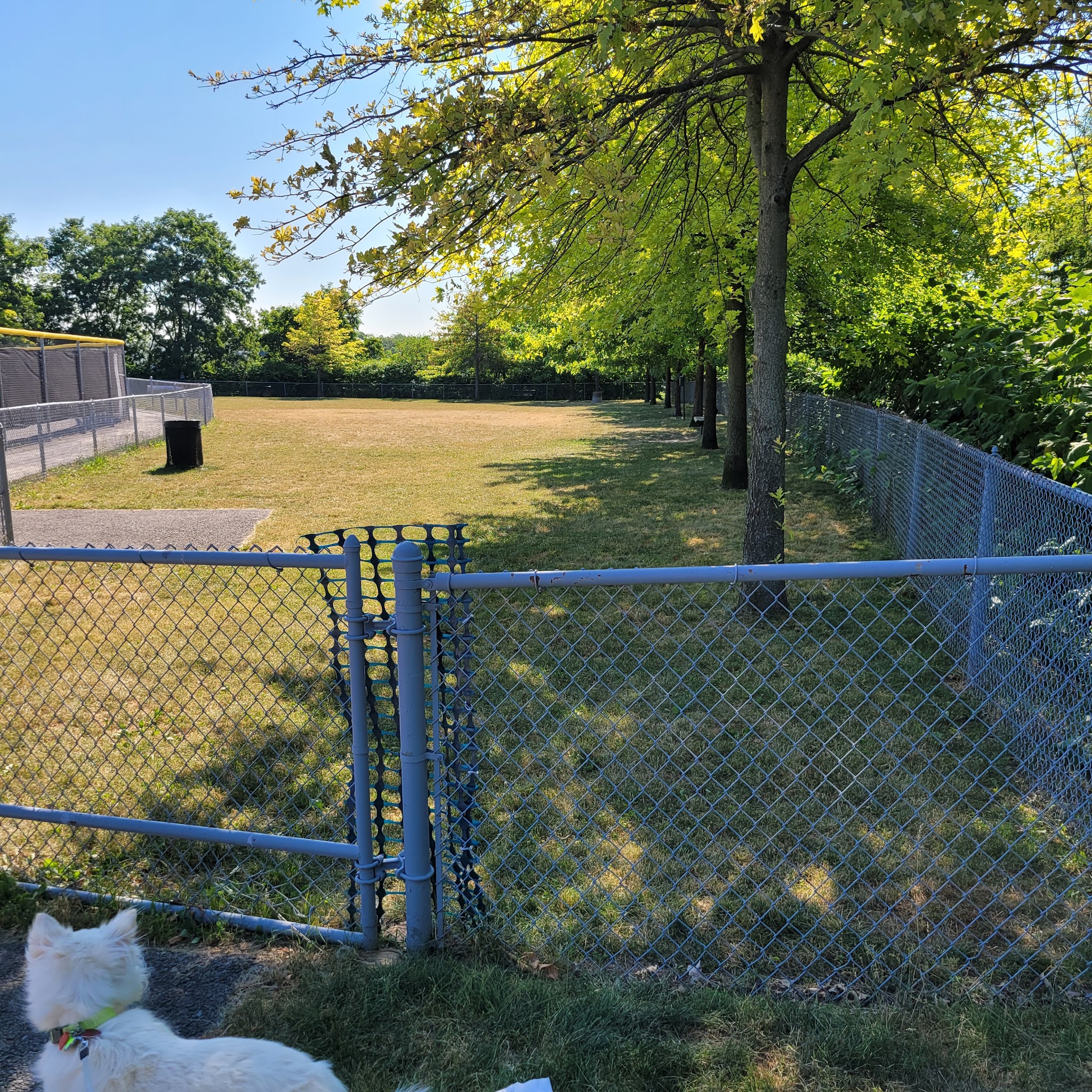 Green Tree Dog Park (Restricted, Residents Only) - Pittsburgh, PA