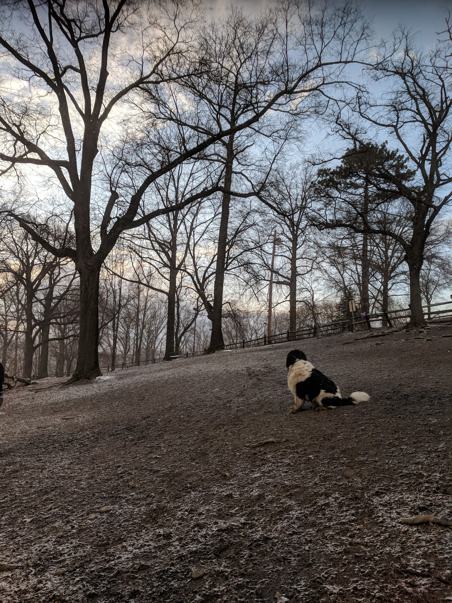 Riverview Dog Park - Pittsburgh, PA