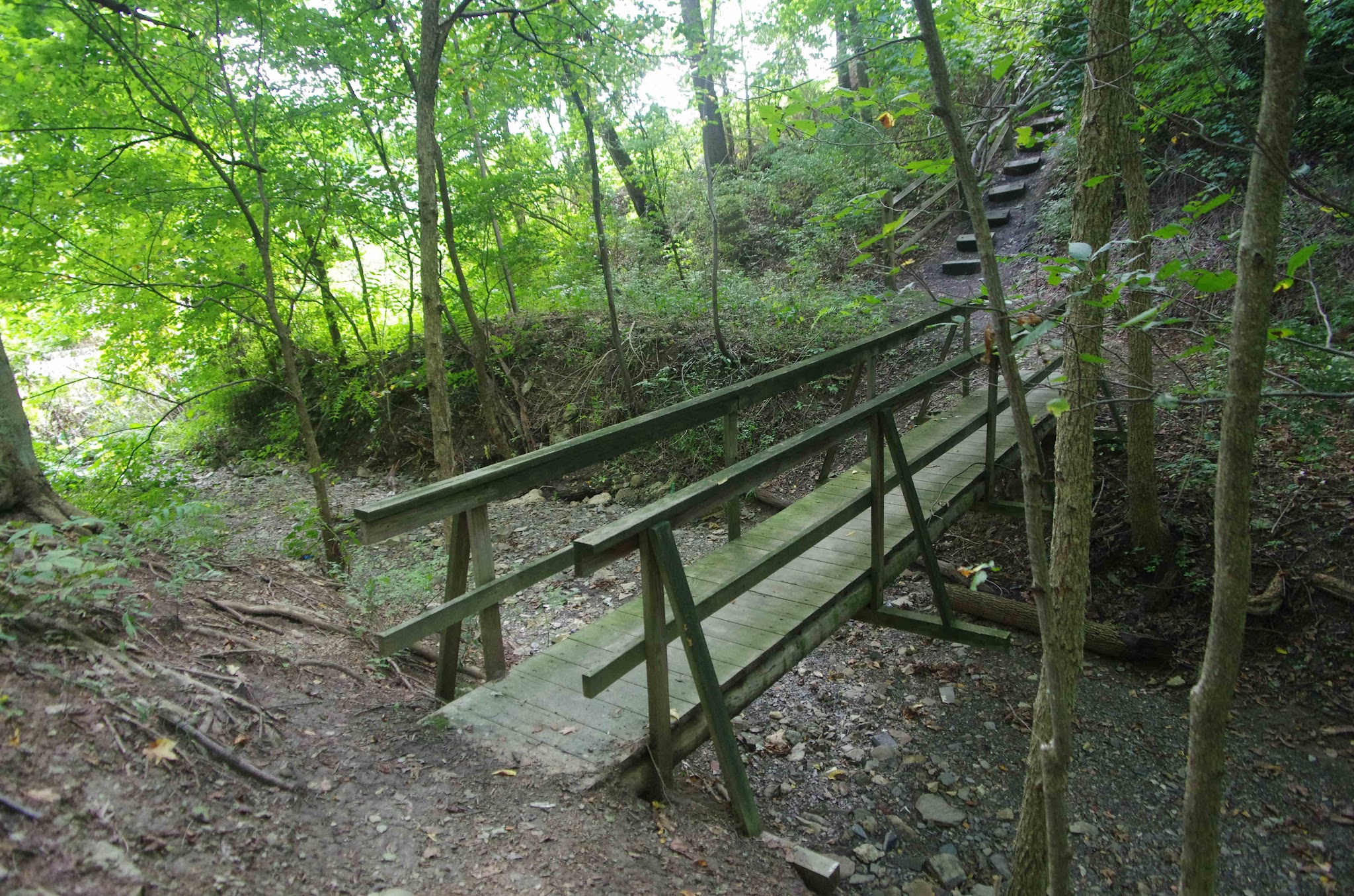 Robb Hollow Park - Pittsburgh, PA