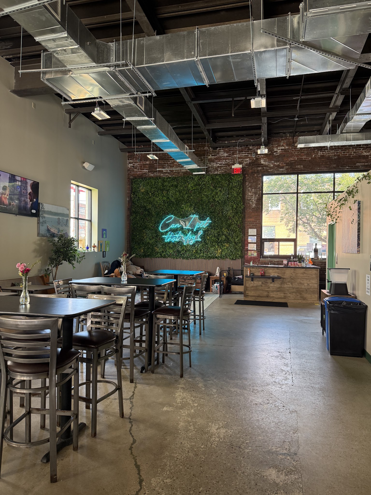 The Dog Penn - Pittsburgh, PA