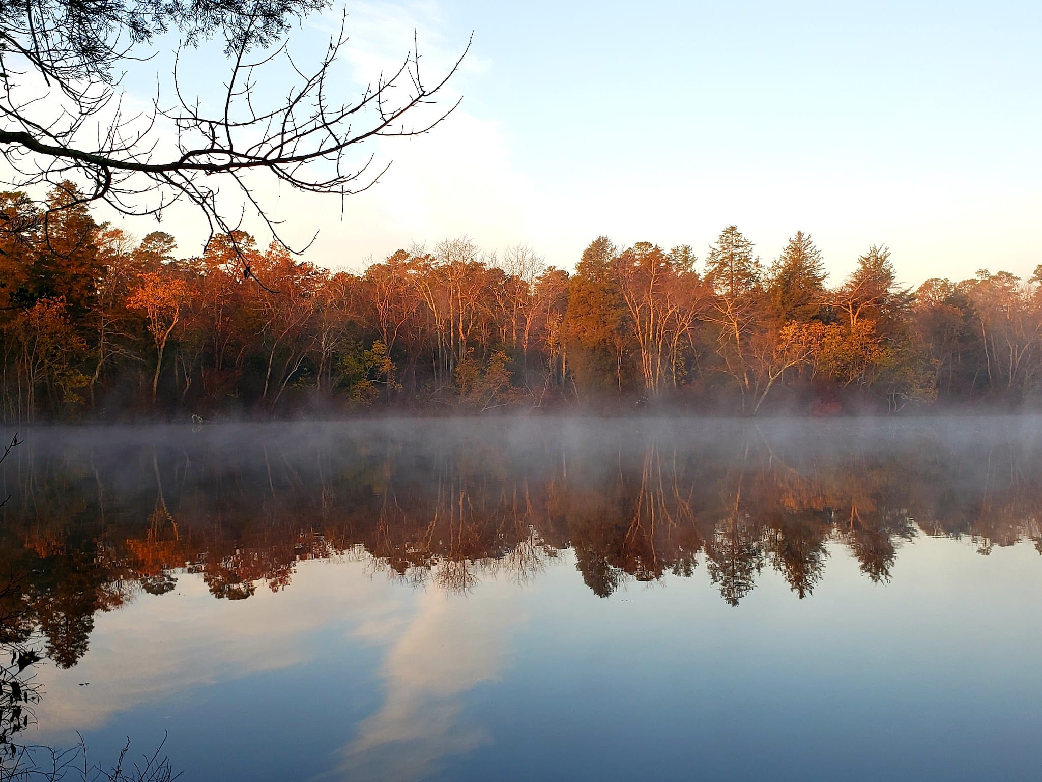 Parvin State Park - Pittsgrove, NJ