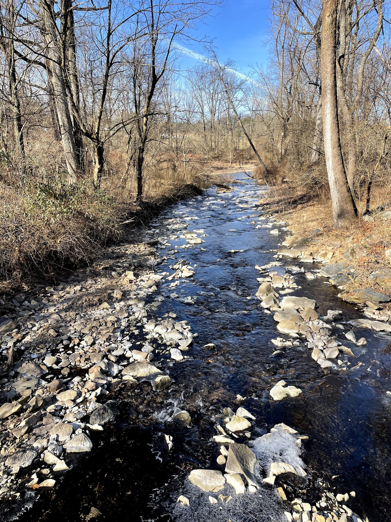 Capoolong Wildlife Management Area - Pittstown, NJ