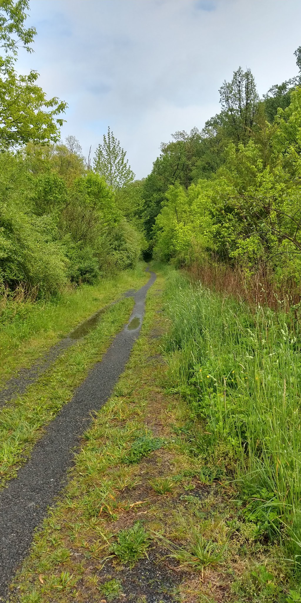 Capoolong Wildlife Management Area - Pittstown, NJ