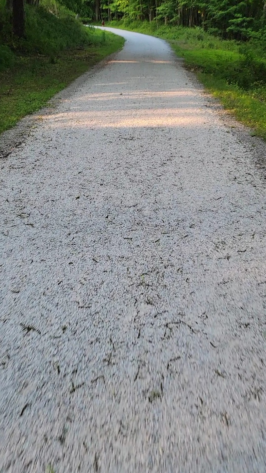 Capoolong Wildlife Management Area - Pittstown, NJ