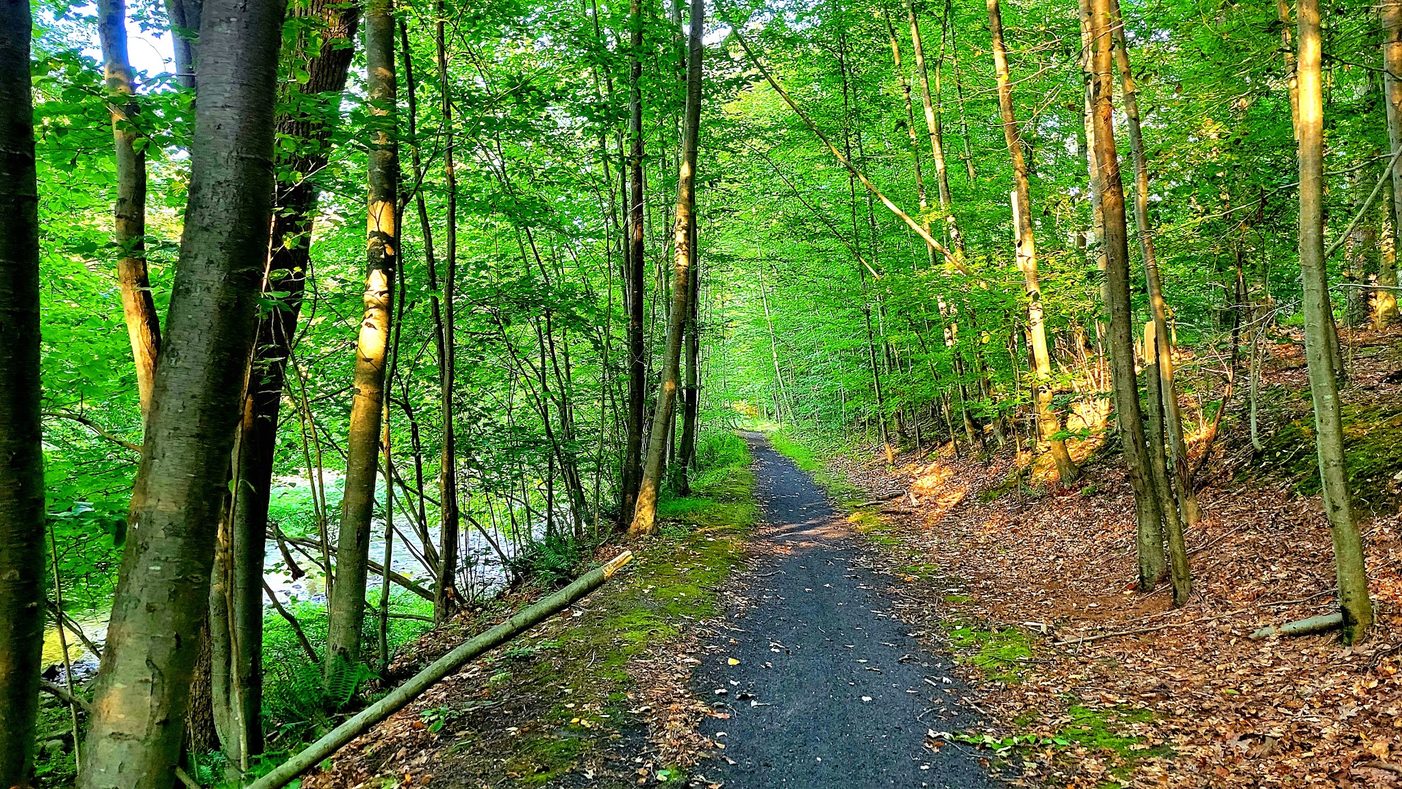 Capoolong Wildlife Management Area - Pittstown, NJ