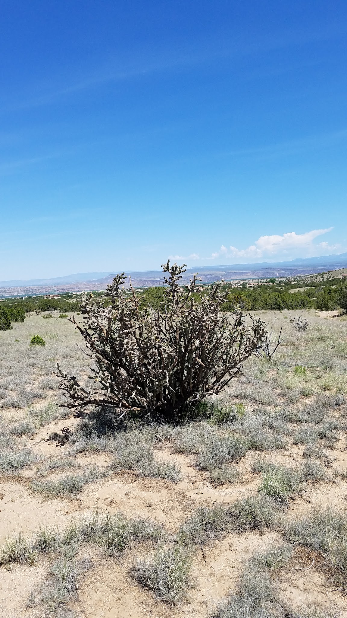 Strip Mine Trailhead - Placitas, NM