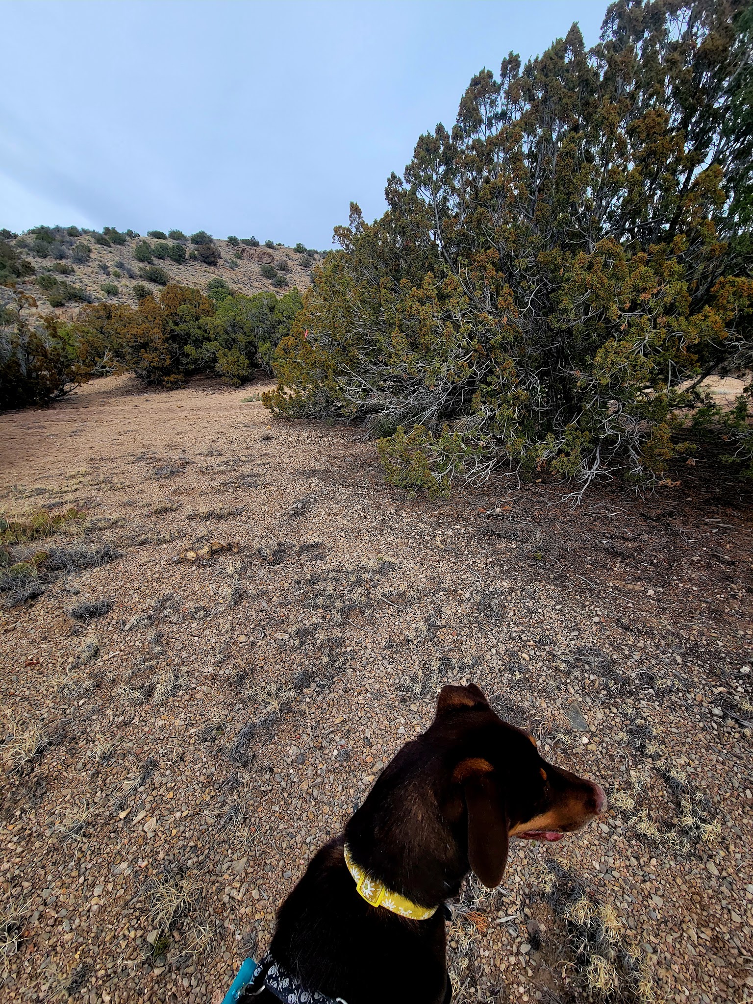 Strip Mine Trailhead - Placitas, NM