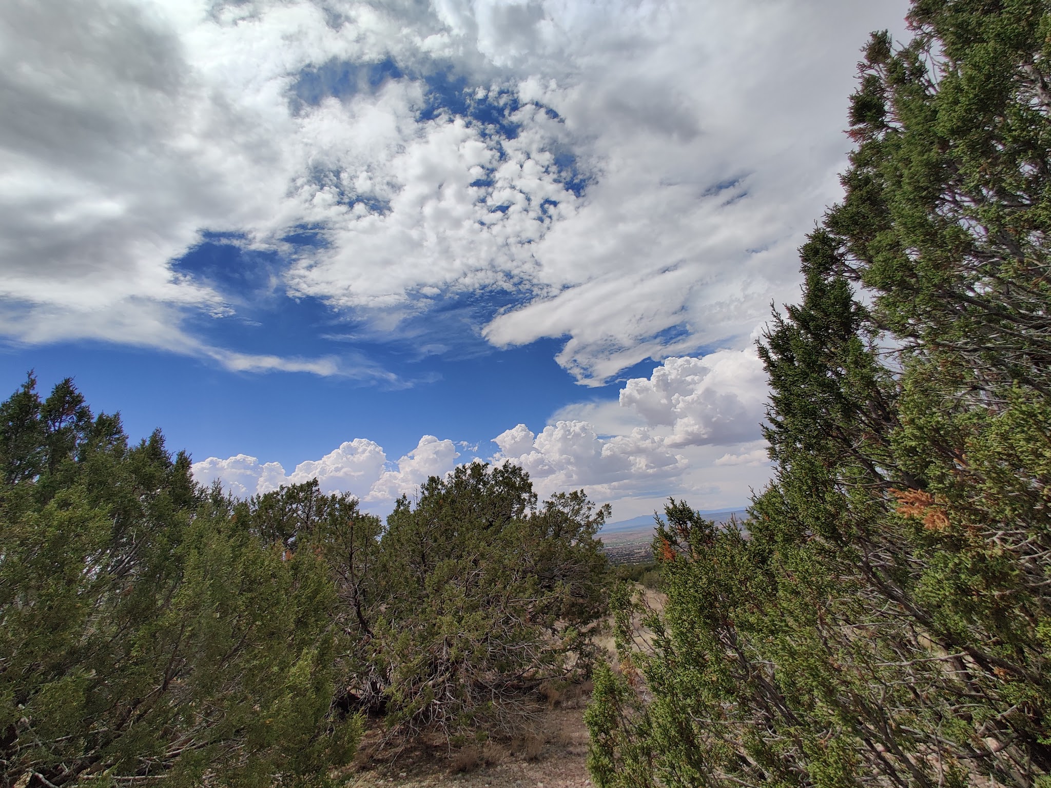 Strip Mine Trailhead - Placitas, NM