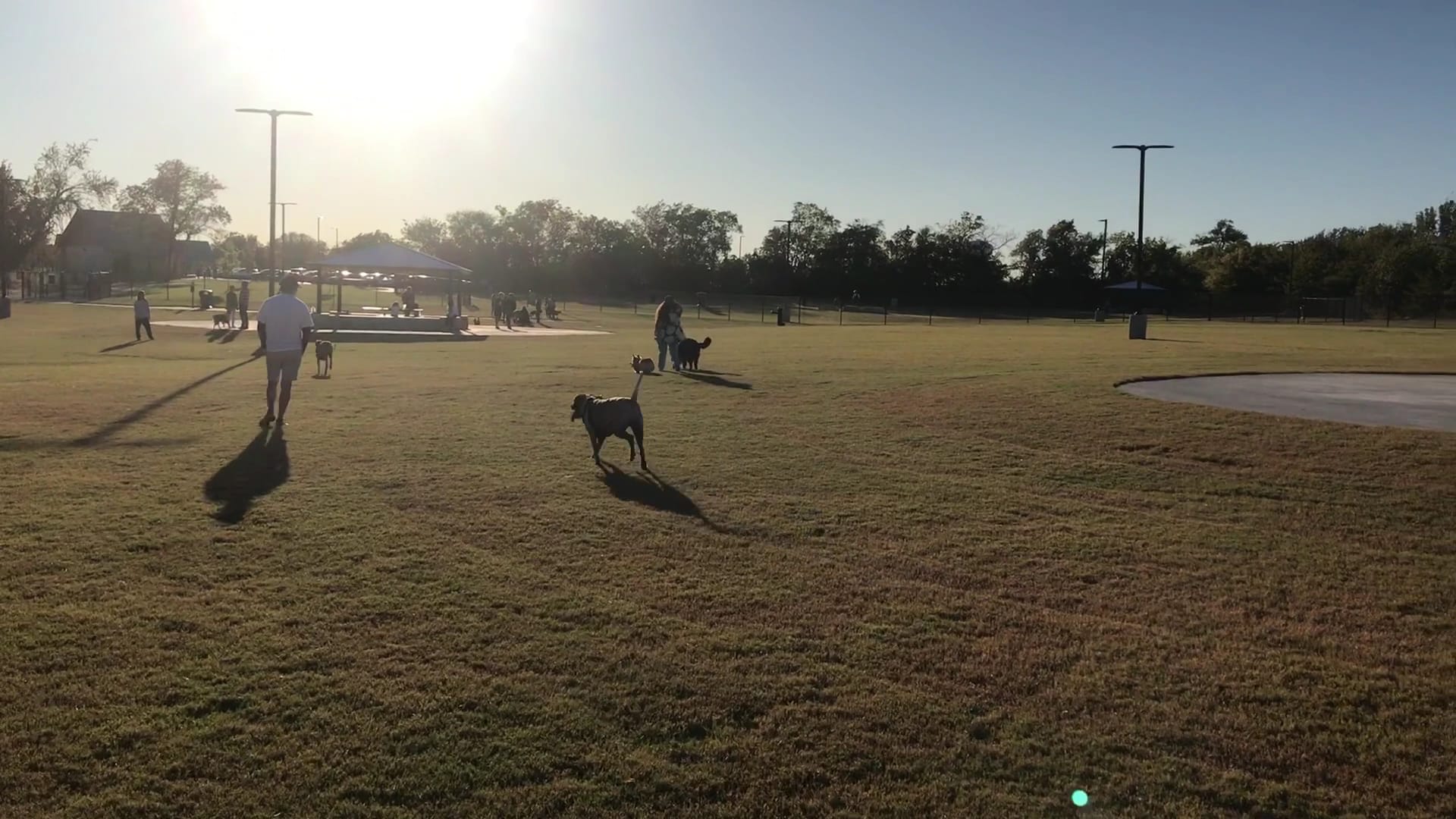Dog Park at Windhaven Meadows Park - Plano, TX