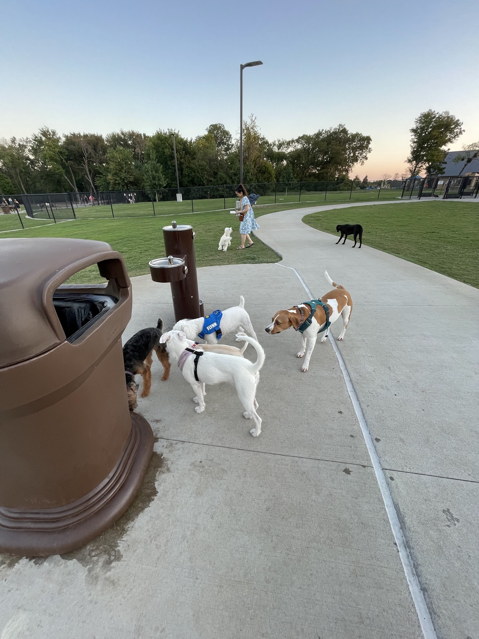 Dog Park at Windhaven Meadows Park - Plano, TX