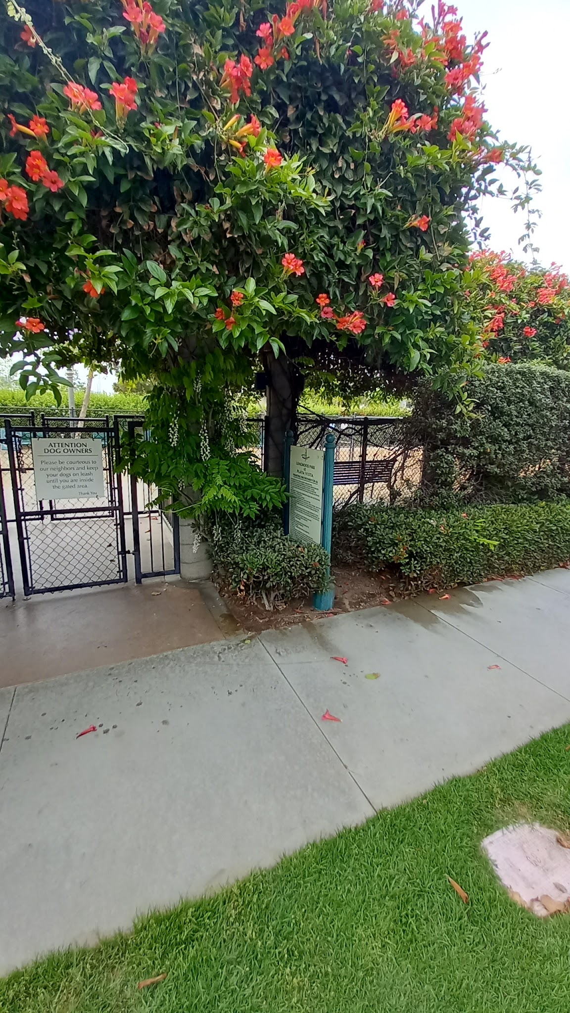 Longwood Dog Park - Playa Vista, CA