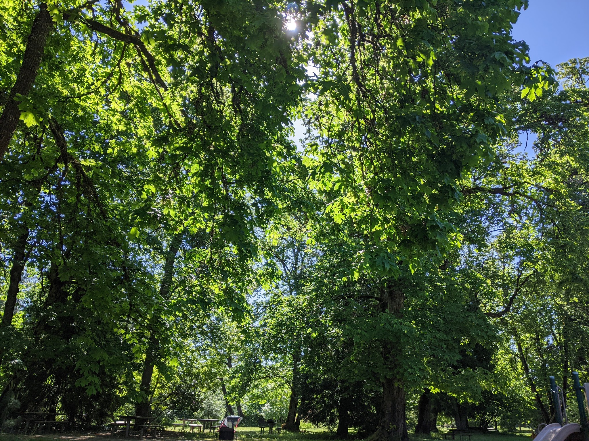 Jasper State Recreation Site - Pleasant Hill, OR