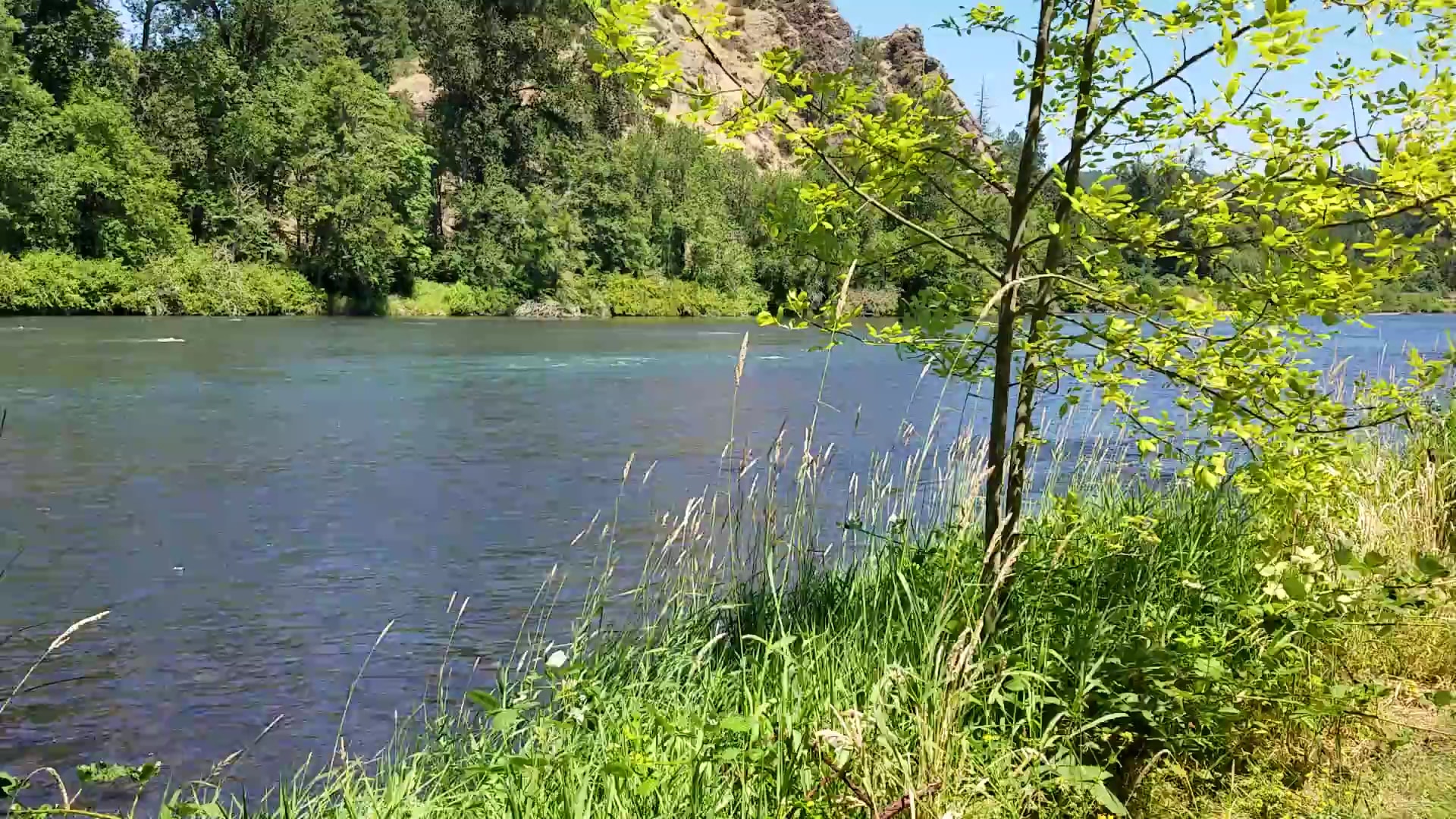 Jasper State Recreation Site - Pleasant Hill, OR