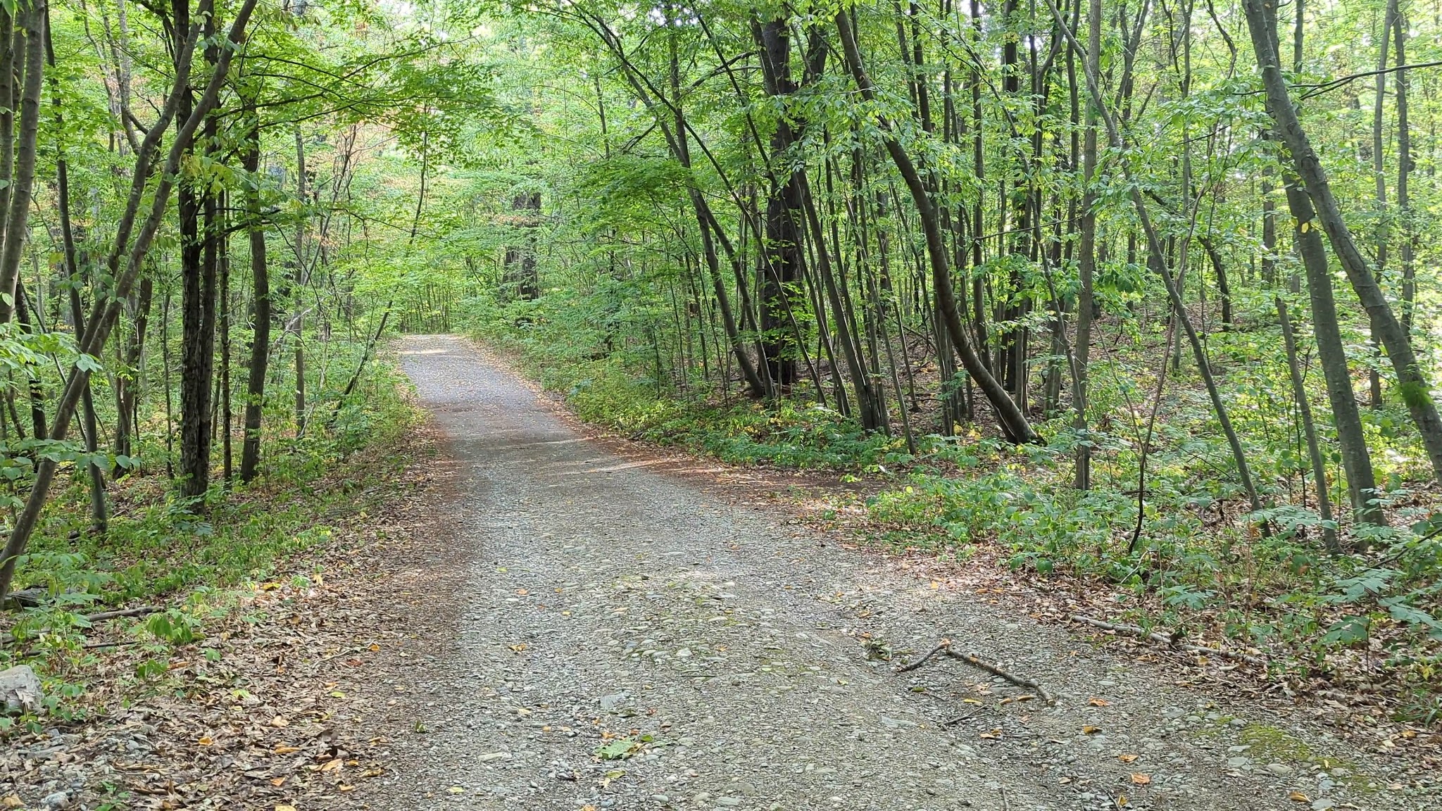 Taconic Hereford Multiple Use Area - Pleasant Valley, NY