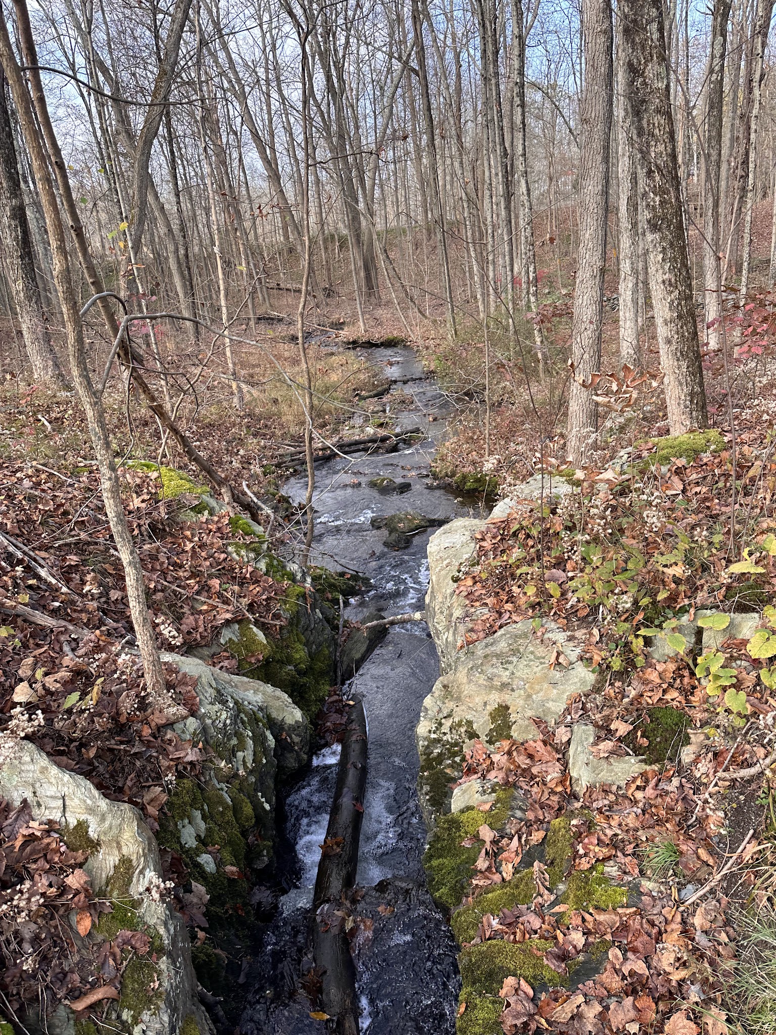 Taconic Hereford Multiple Use Area - Pleasant Valley, NY