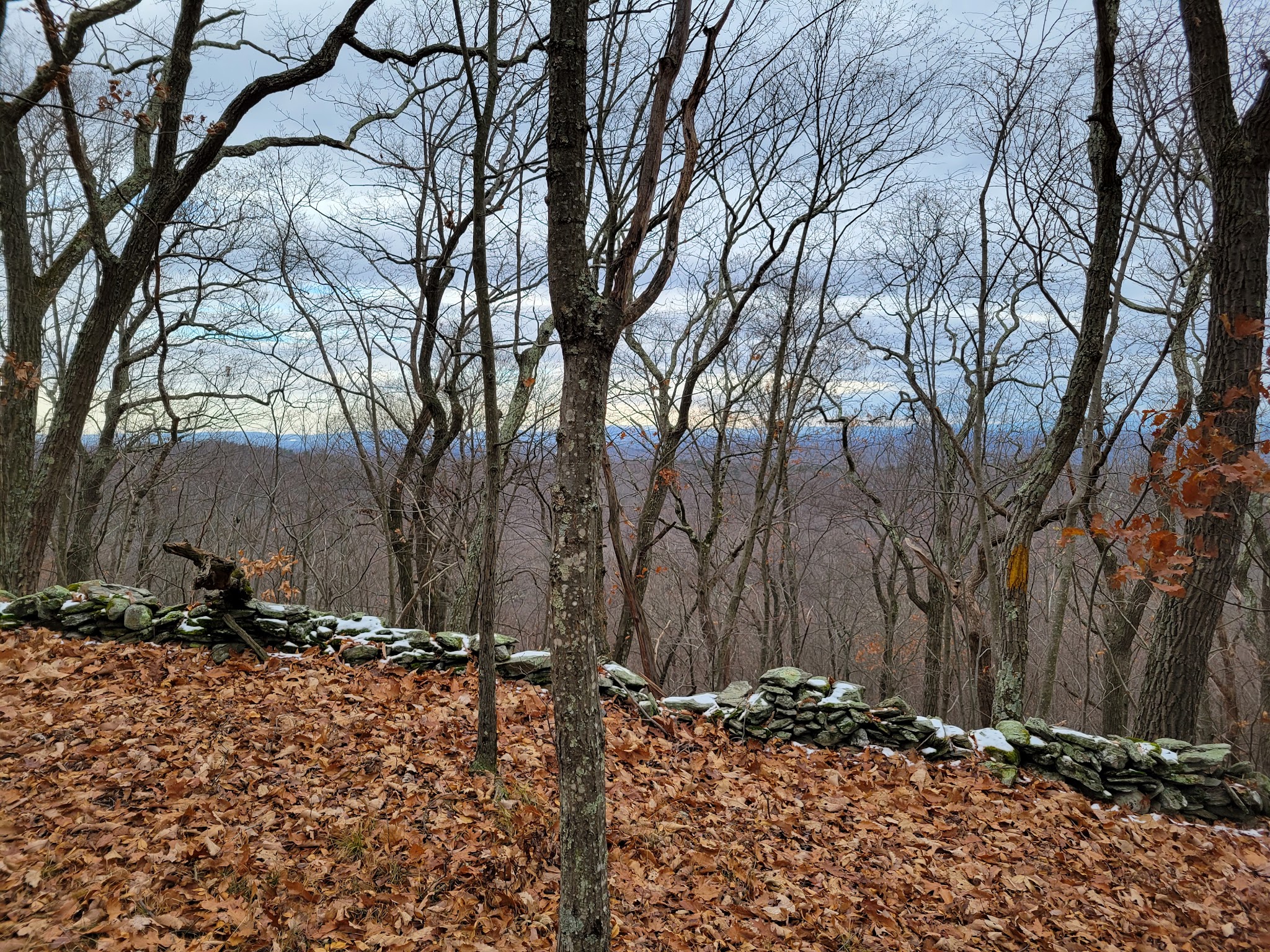 Taconic Hereford Multiple Use Area - Pleasant Valley, NY