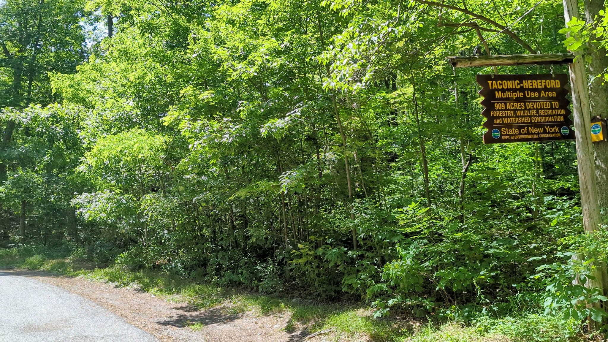 Taconic Hereford Multiple Use Area - Pleasant Valley, NY
