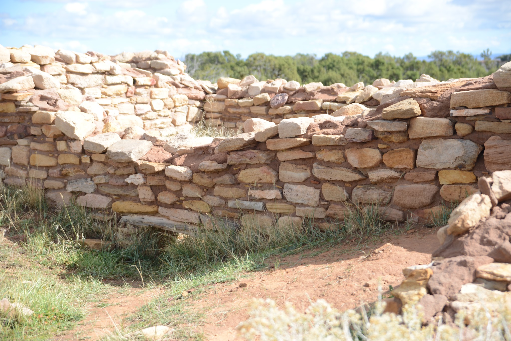 Canyon of the Ancients National Monument -Painted Hand Trail - Pleasant View, CO