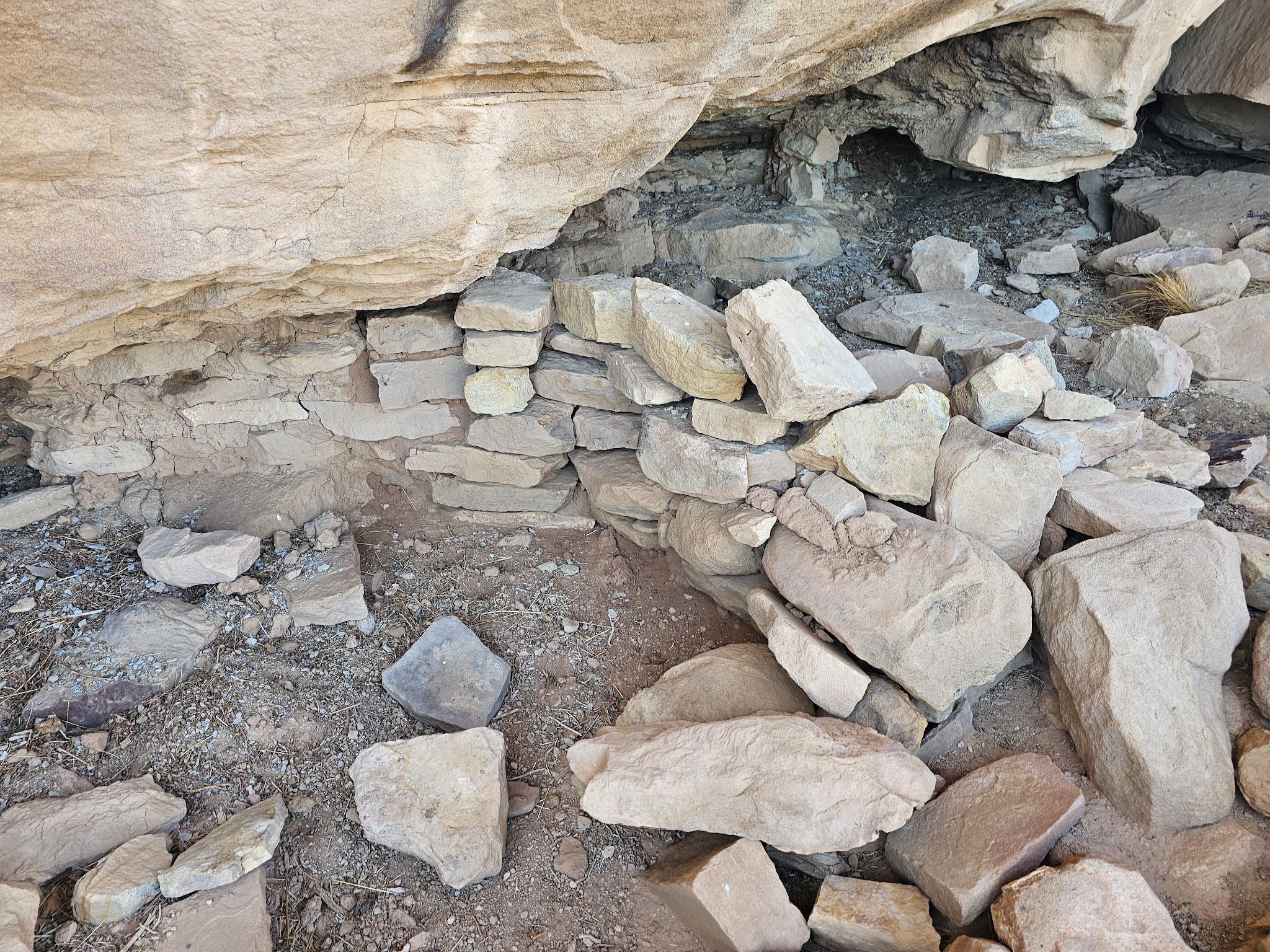 Canyon of the Ancients National Monument -Painted Hand Trail - Pleasant View, CO