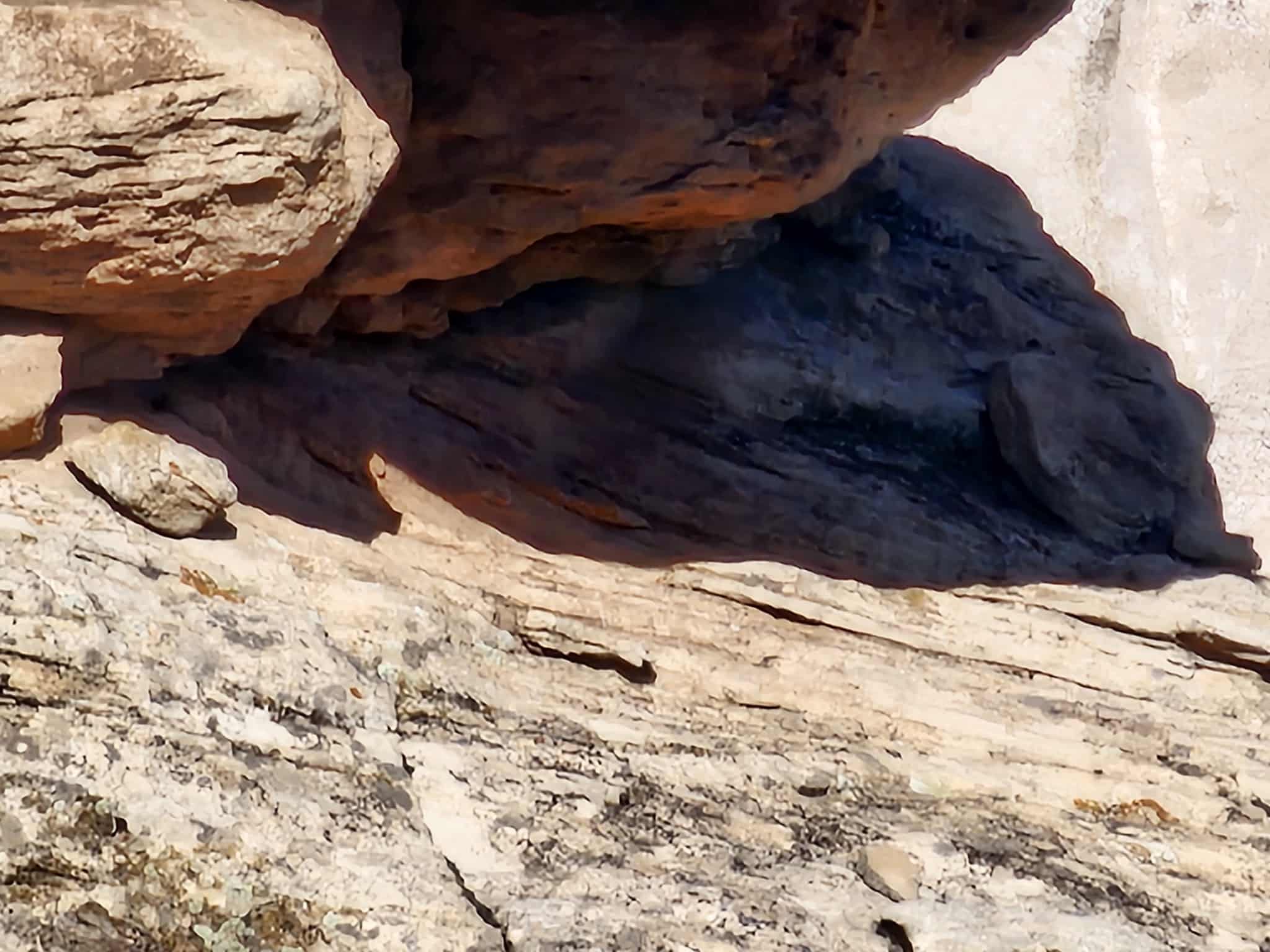 Canyon of the Ancients National Monument -Painted Hand Trail - Pleasant View, CO