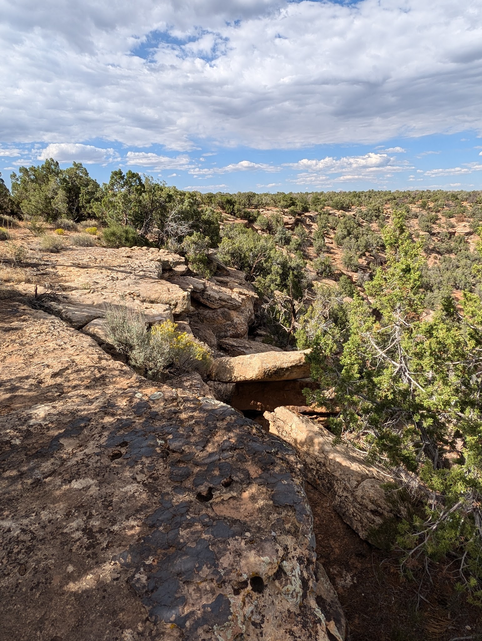 Canyon of the Ancients National Monument -Painted Hand Trail - Pleasant View, CO