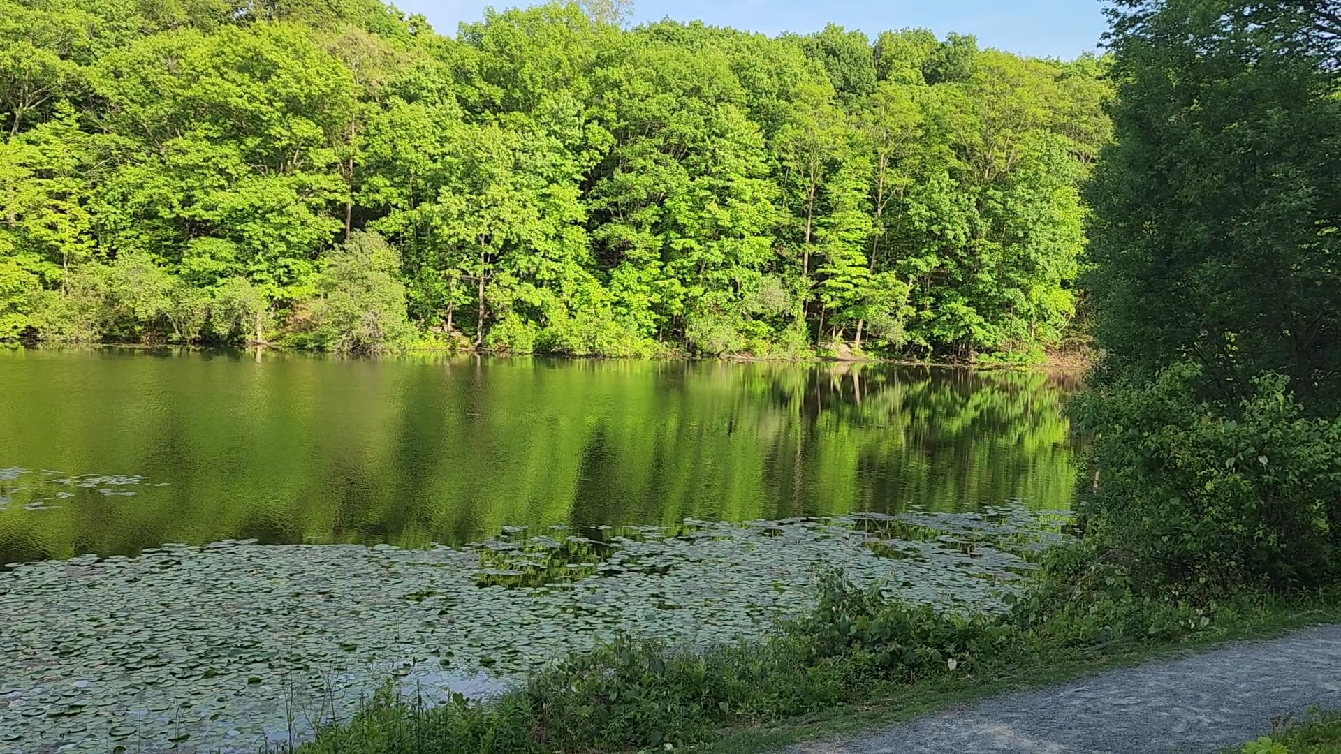 Rockefeller State Park Preserve - Pleasantville, NY