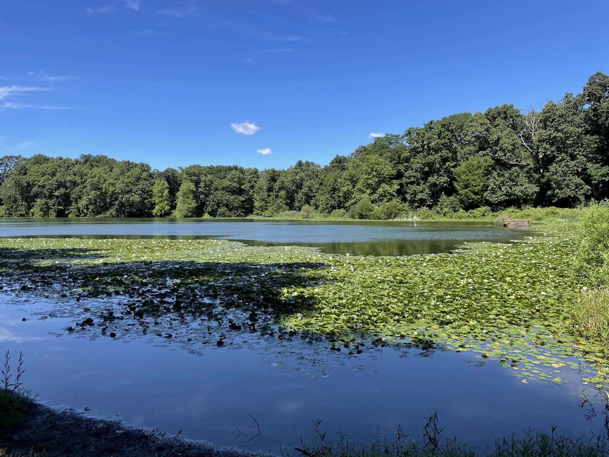 Rockefeller State Park Preserve - Pleasantville, NY