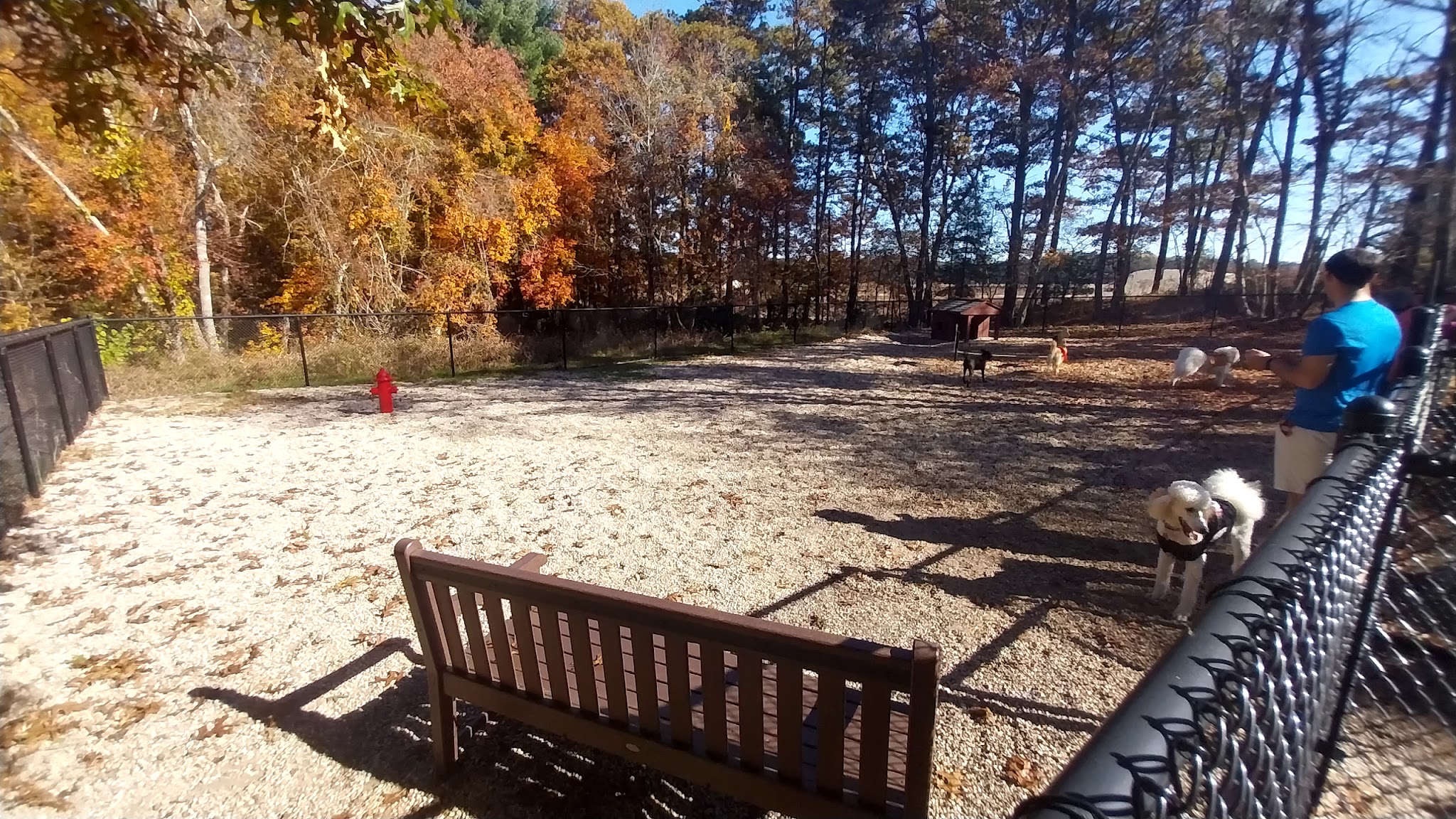 Deer Pond Dog Park - Plymouth, MA