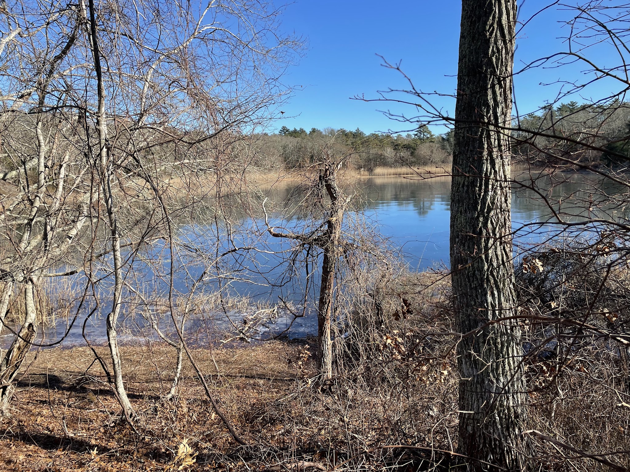 Little Island Pond - Plymouth, MA
