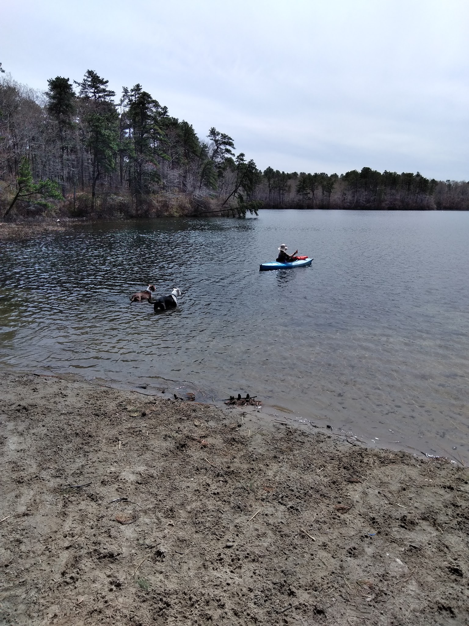 Little Island Pond - Plymouth, MA
