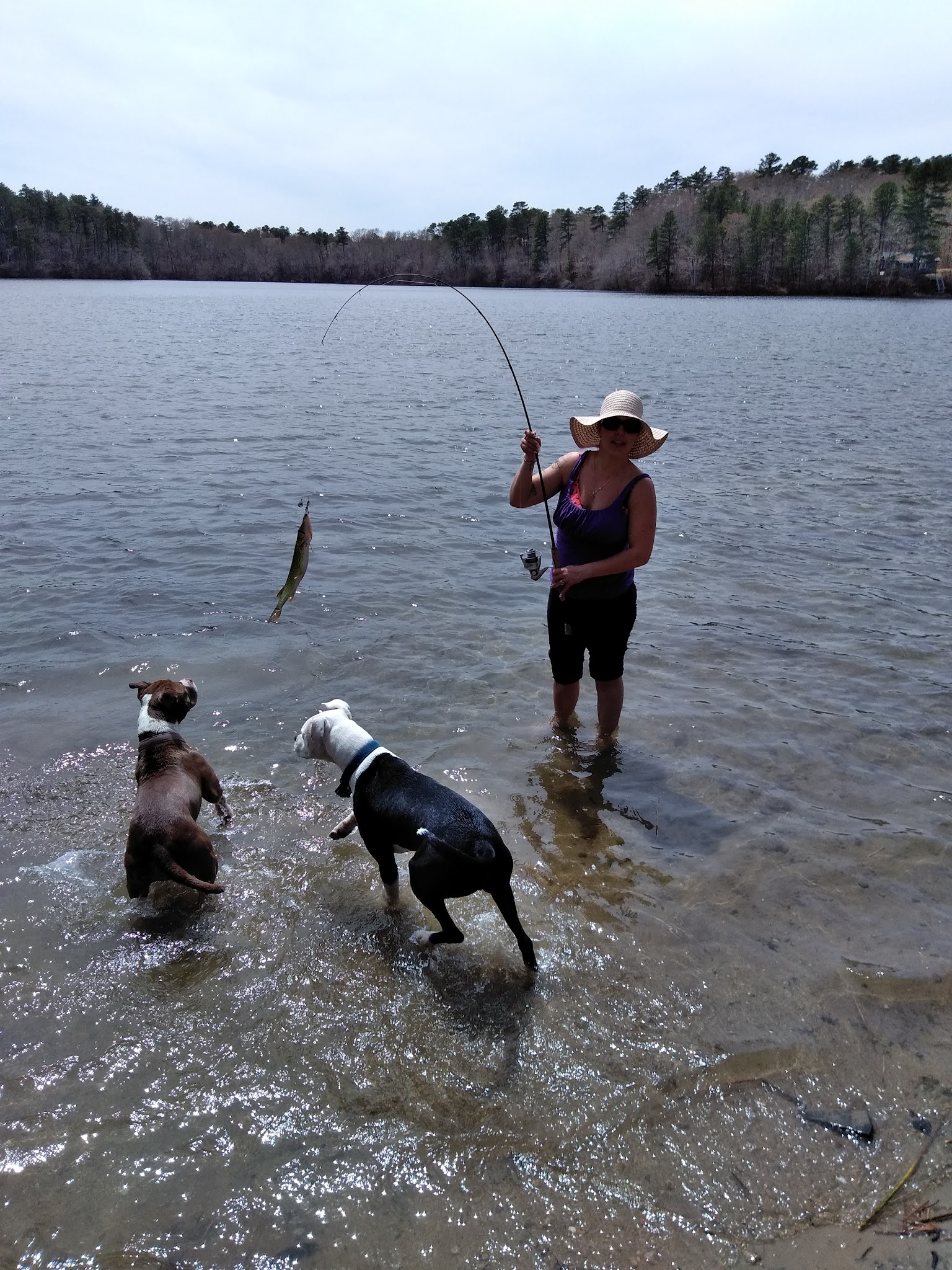 Little Island Pond - Plymouth, MA