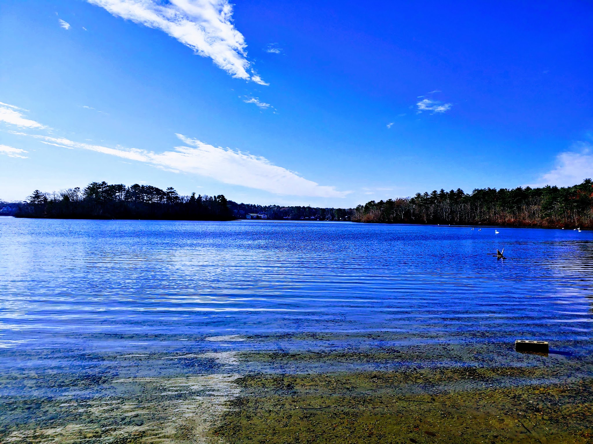 Morton Park - Plymouth, MA