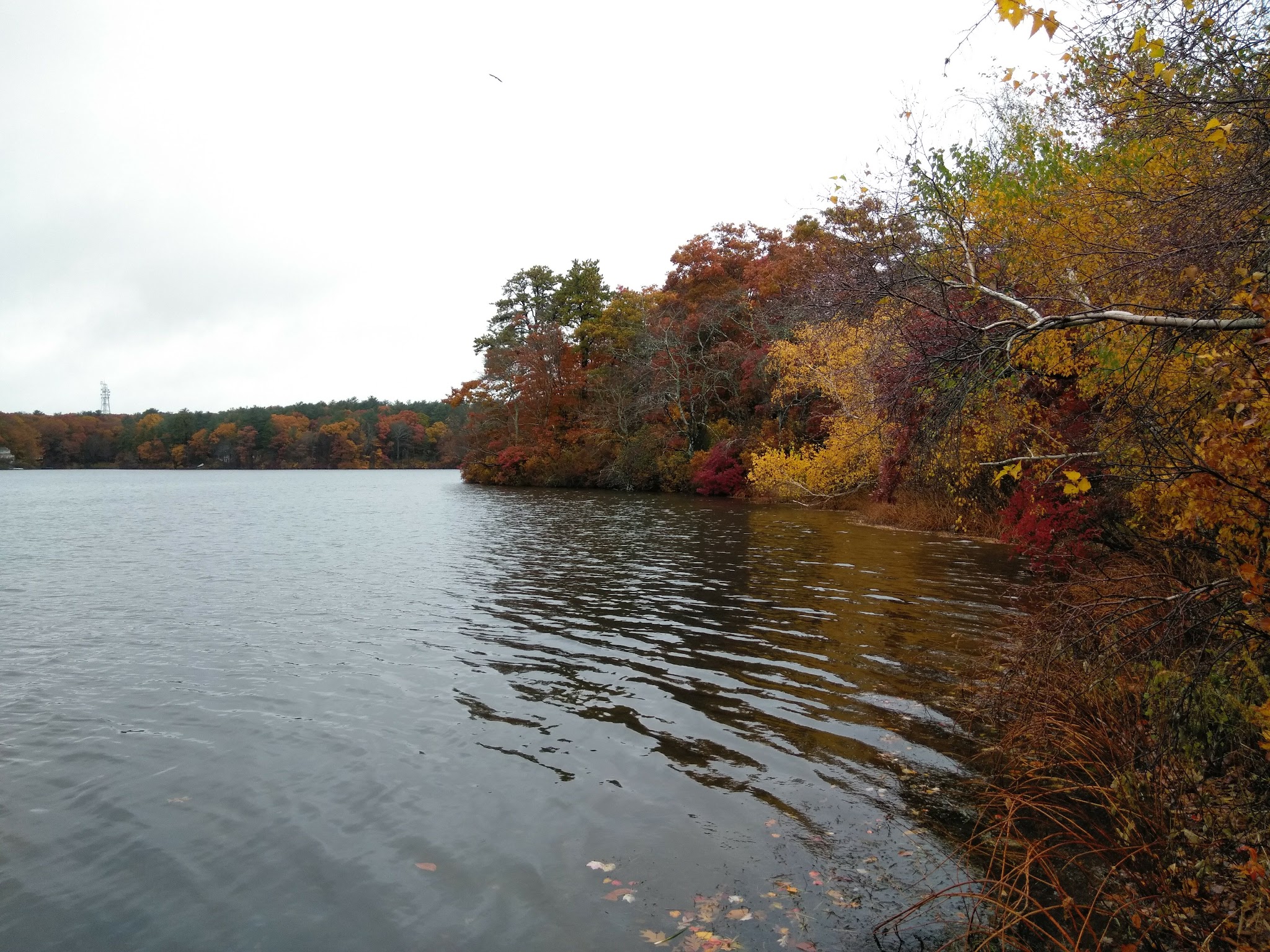 Morton Park - Plymouth, MA