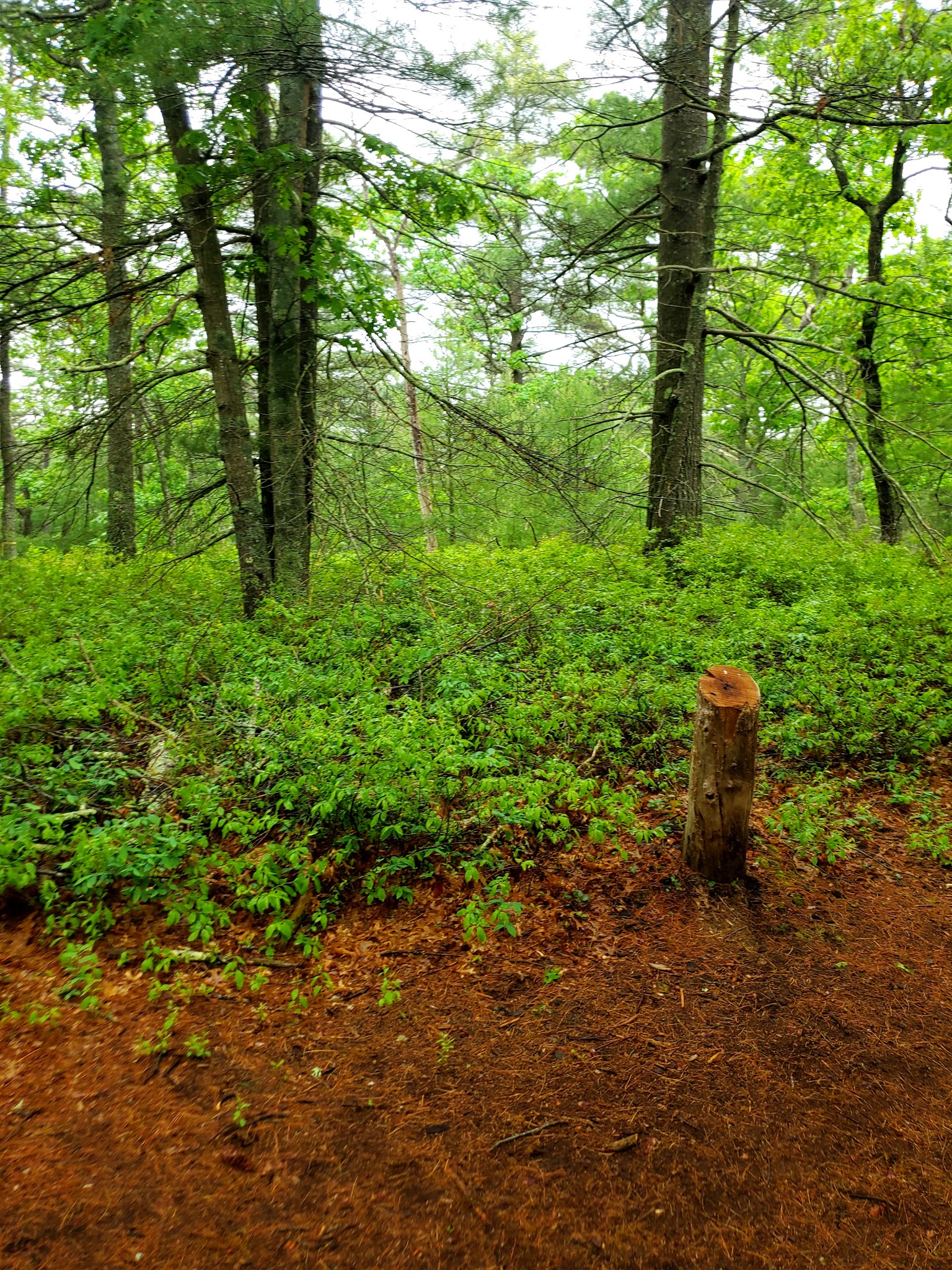 West Plymouth Recreation Area Park - Plymouth, MA