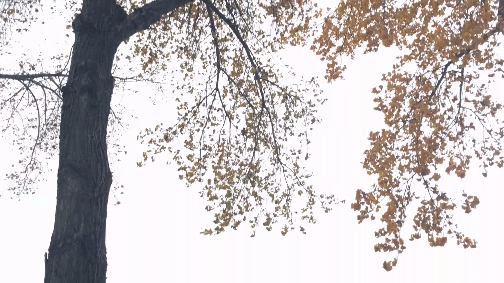 Parkers Lake Park - Plymouth, MN