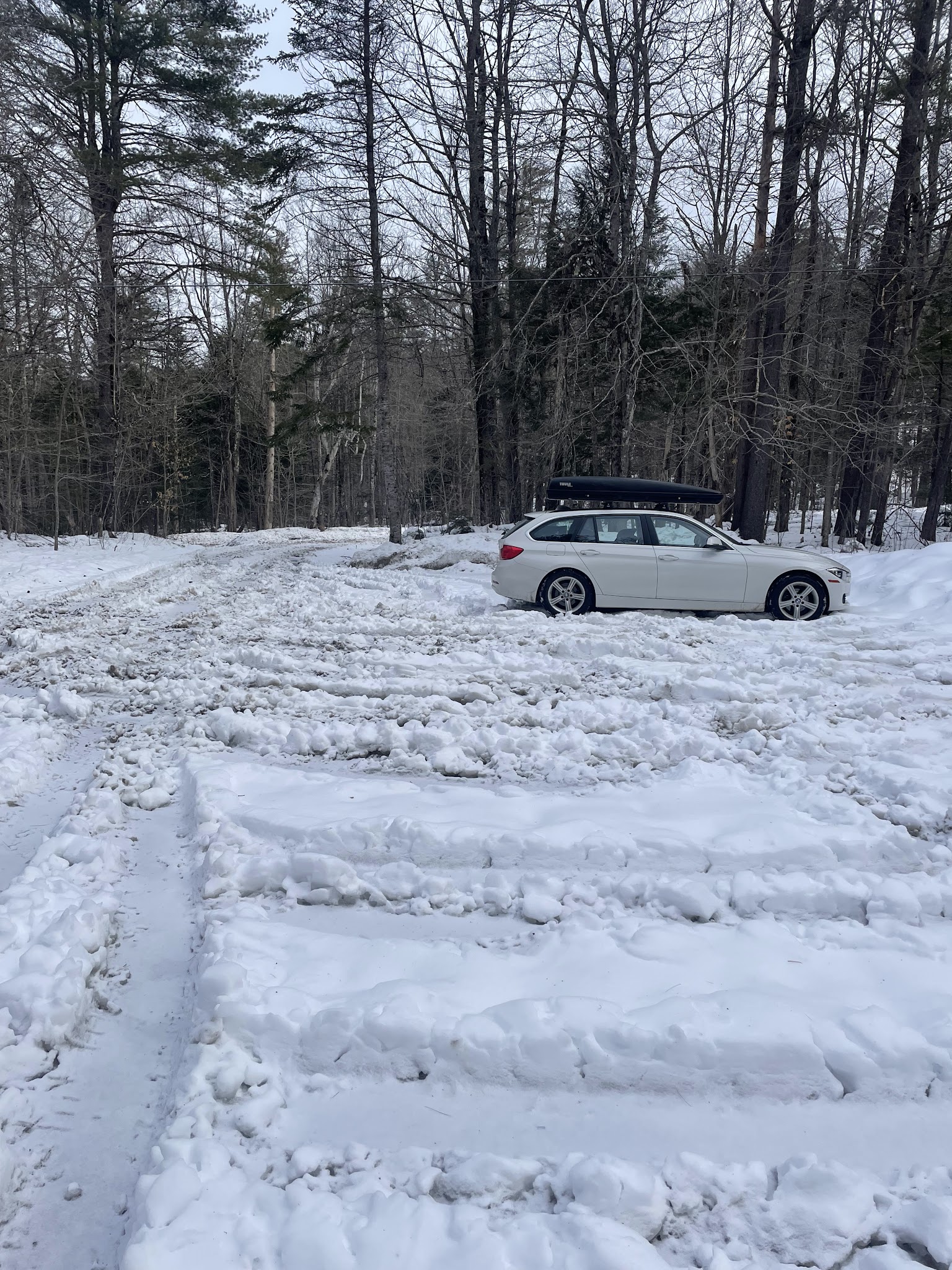 Fauver Link Trail - Plymouth, NH