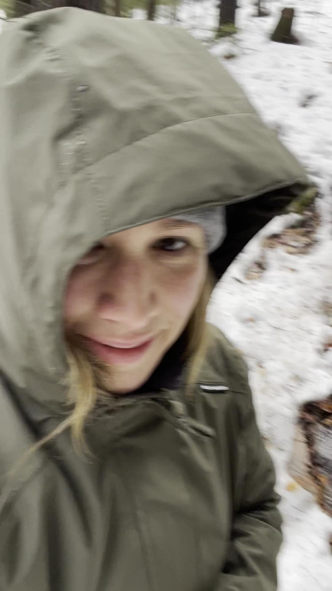 Fauver Link Trail - Plymouth, NH