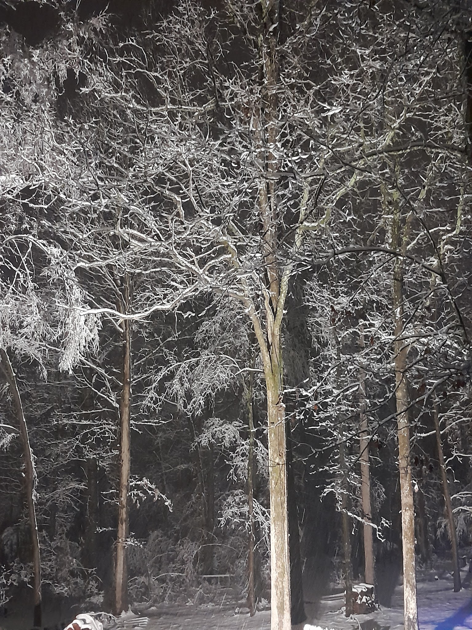 Pocahontas Parks & Recreation - Pocahontas, AR