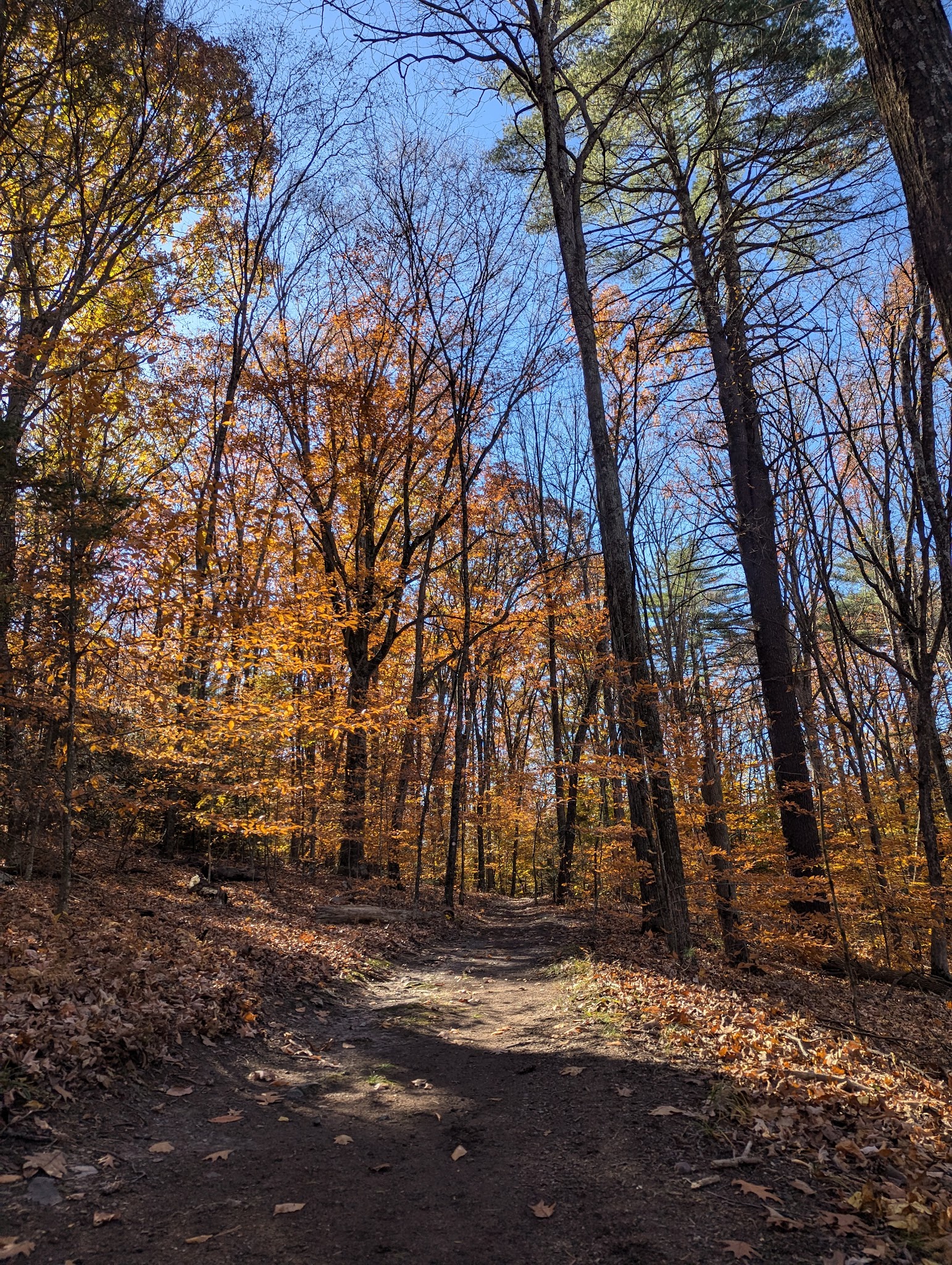 Learn Road Park - Pocono Township, PA
