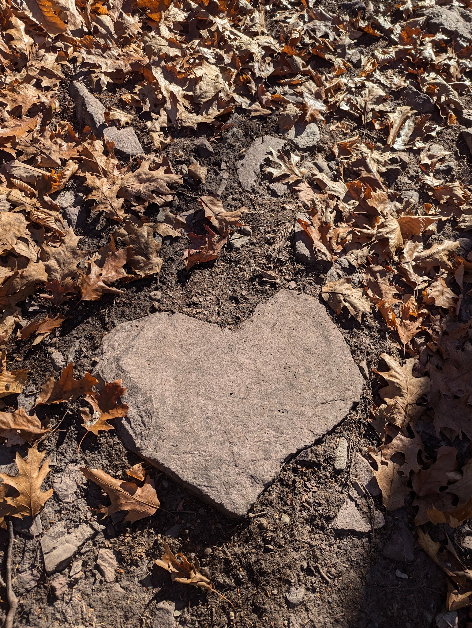 Learn Road Park - Pocono Township, PA